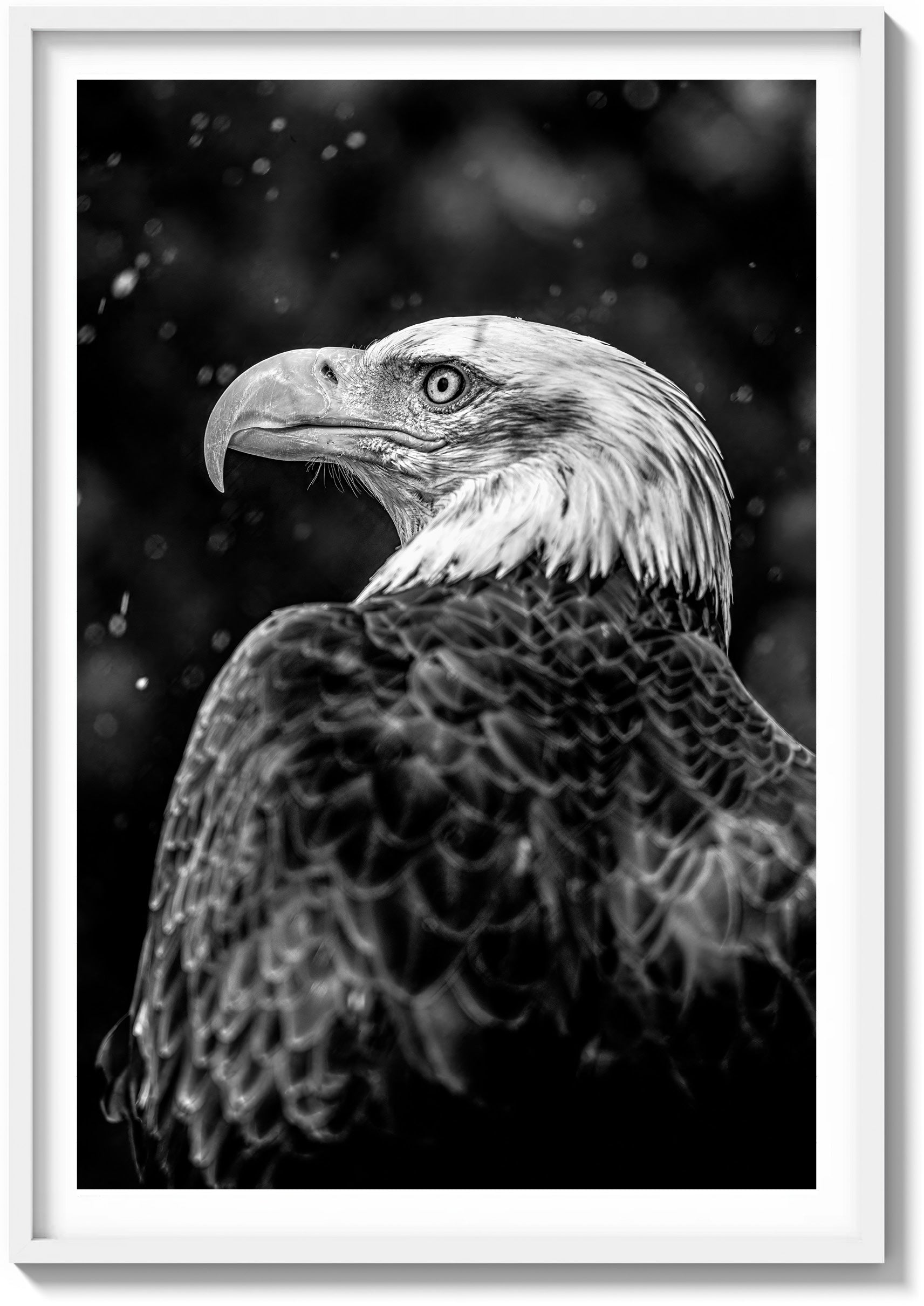 Symbol of America