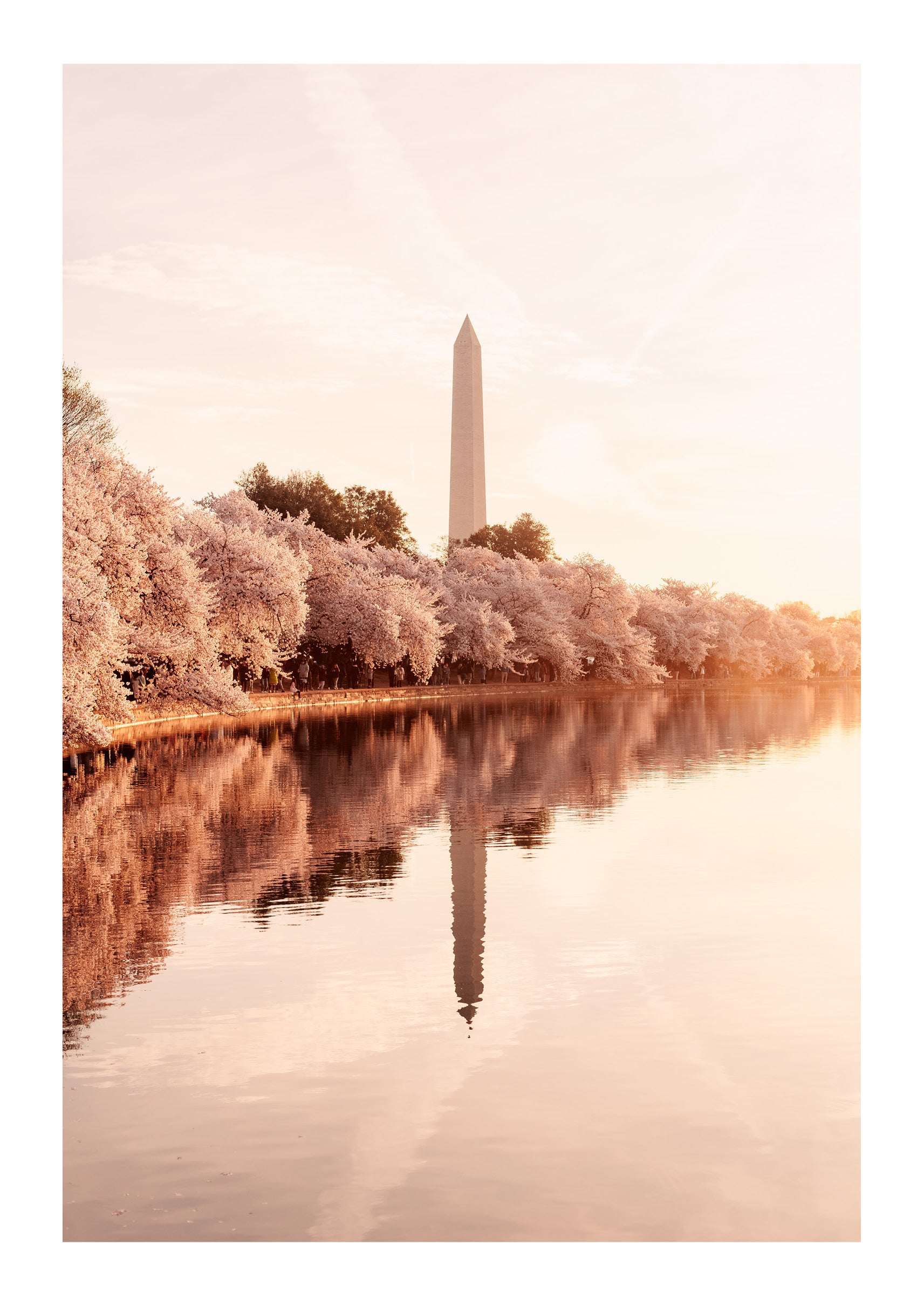 First Light At The Basin