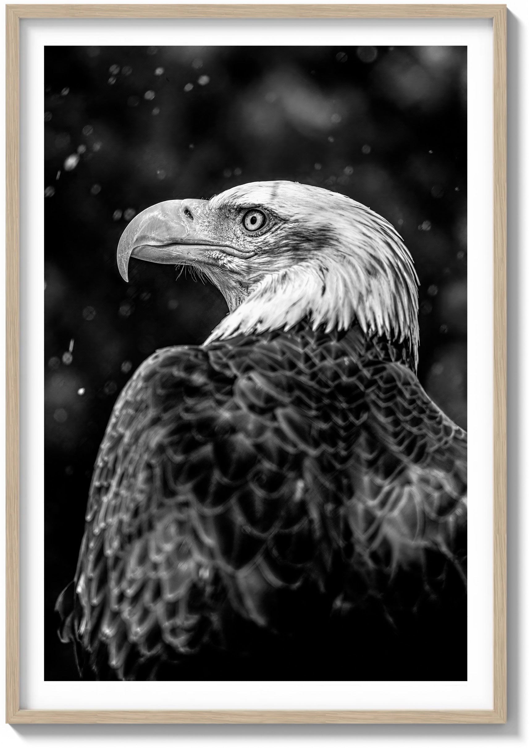 Symbol of America