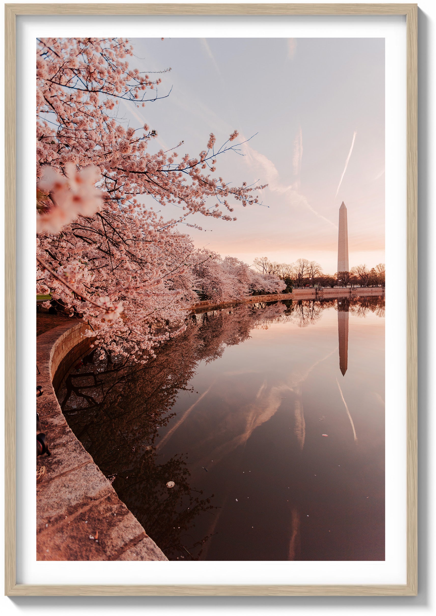Springtime Foliage
