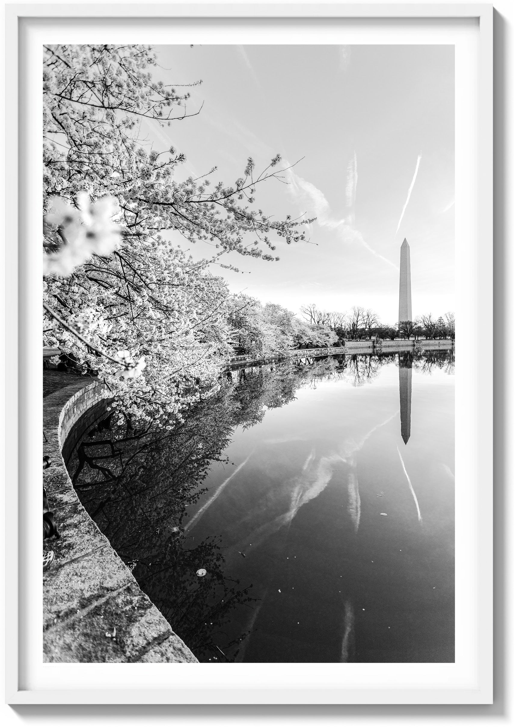 Springtime Foliage