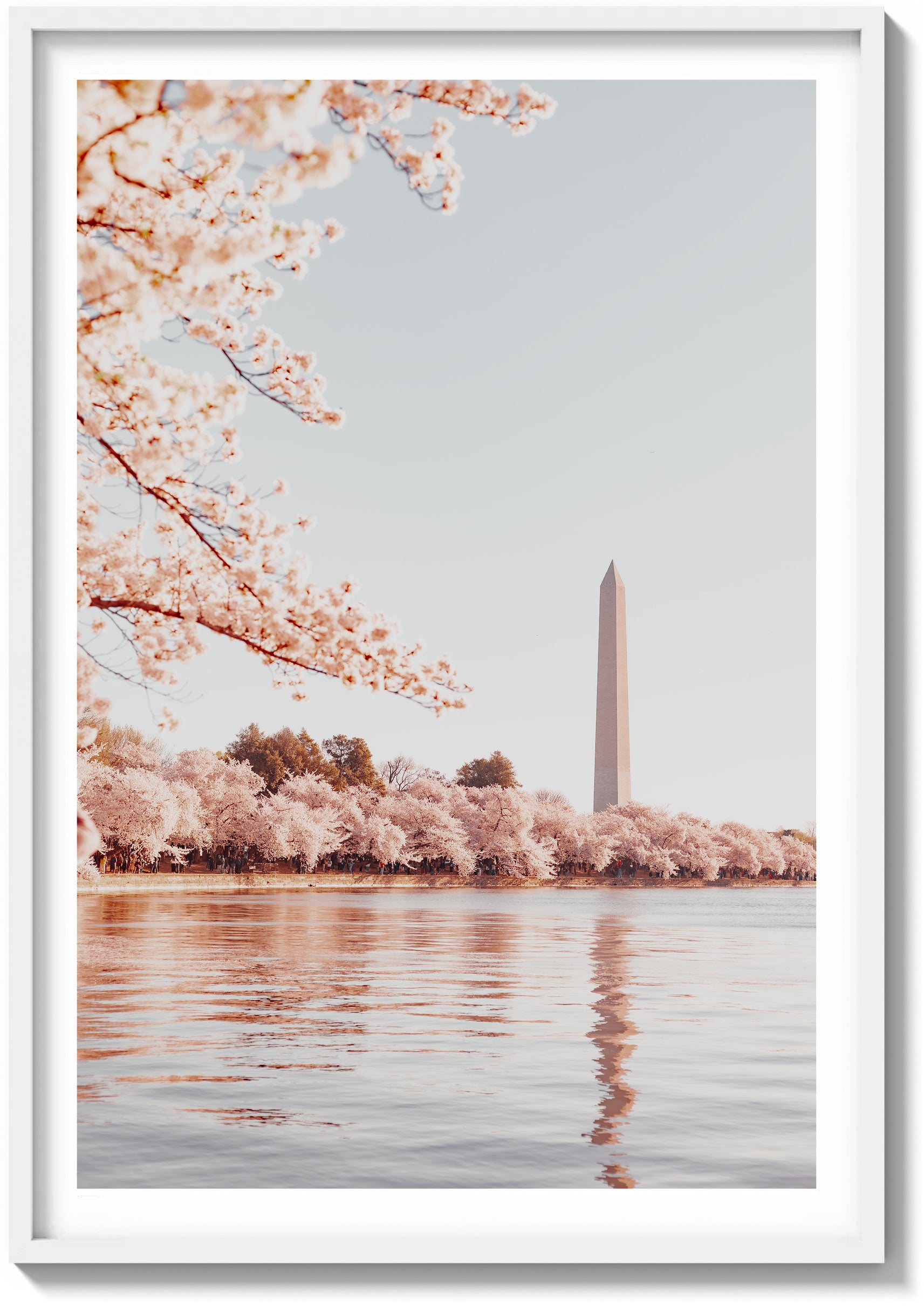 Springtime Brilliance