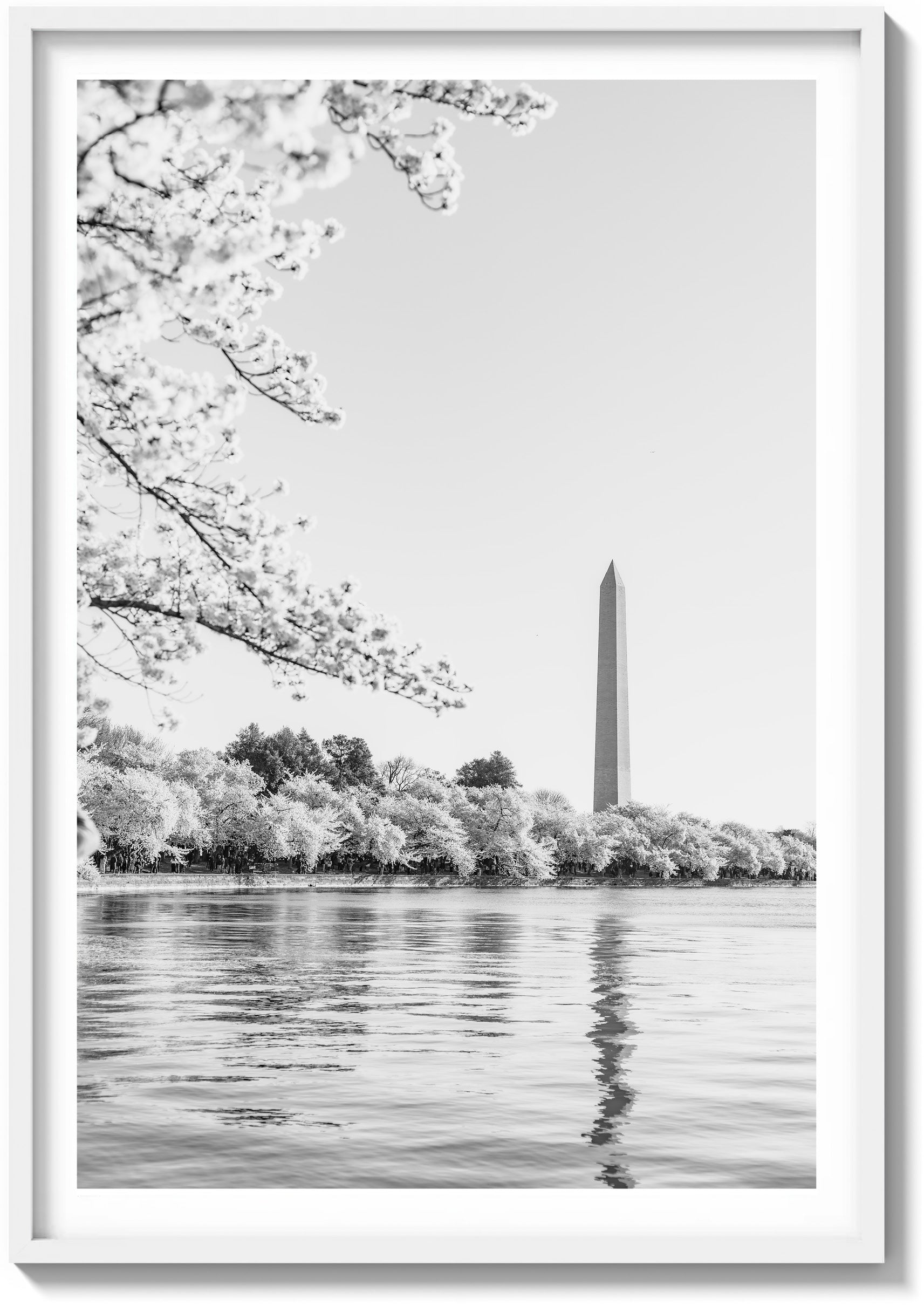 Springtime Brilliance