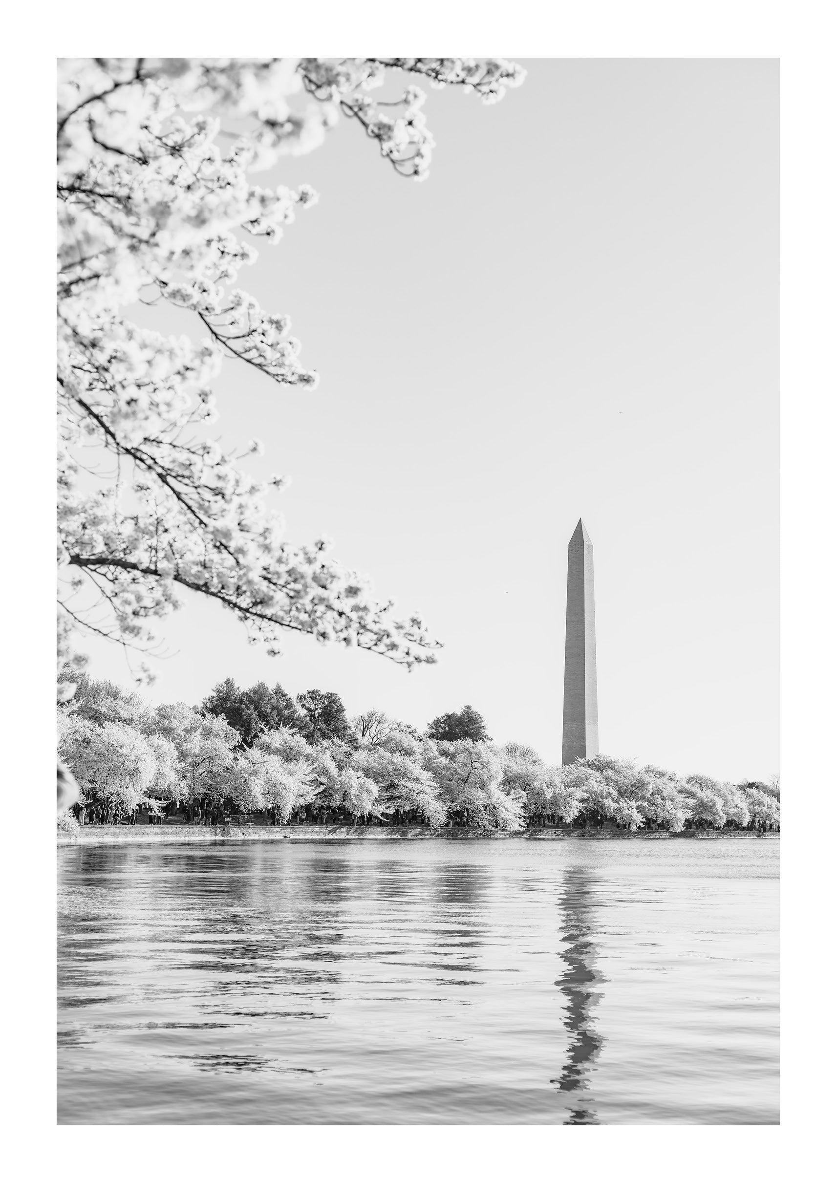 Springtime Brilliance