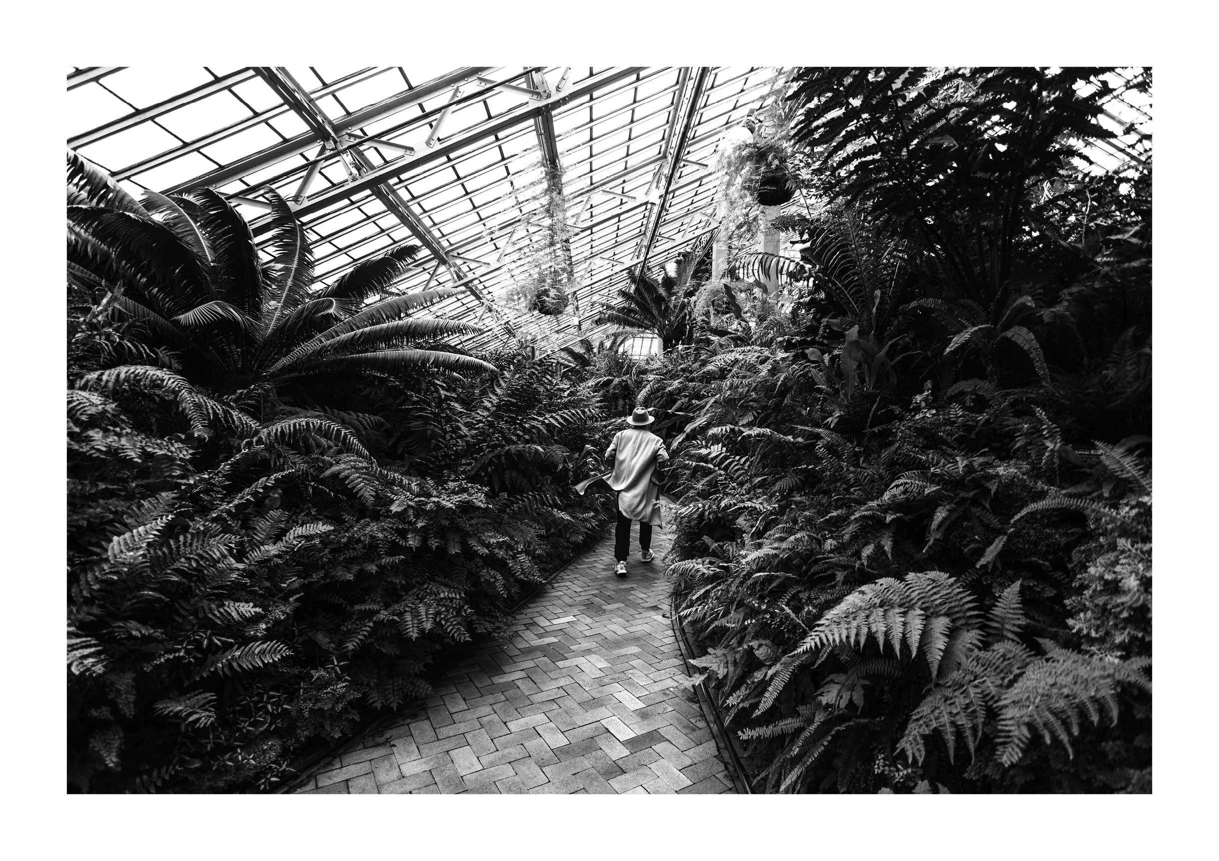 Garfield Park Conservatory