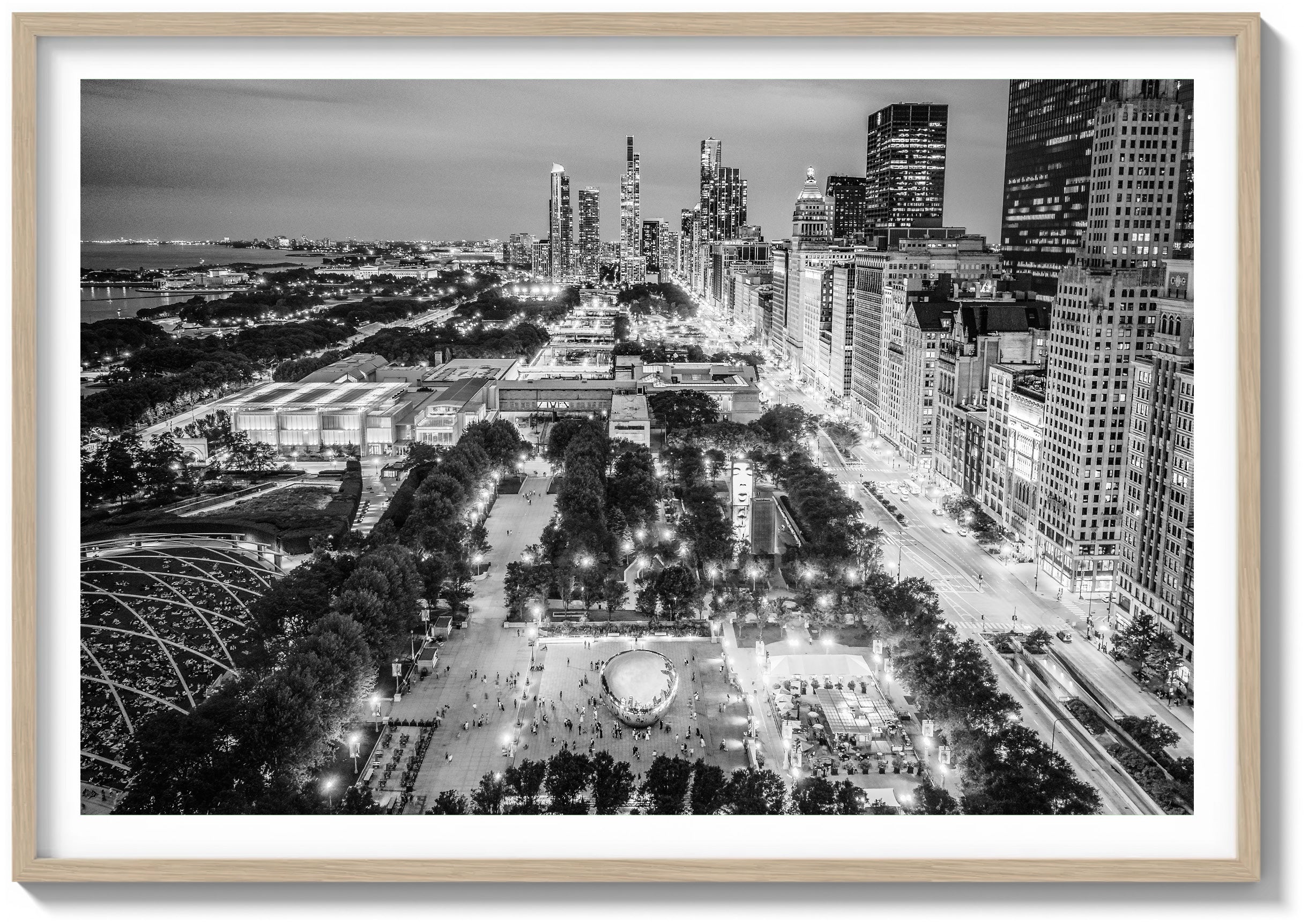 Evening in Millennium Park