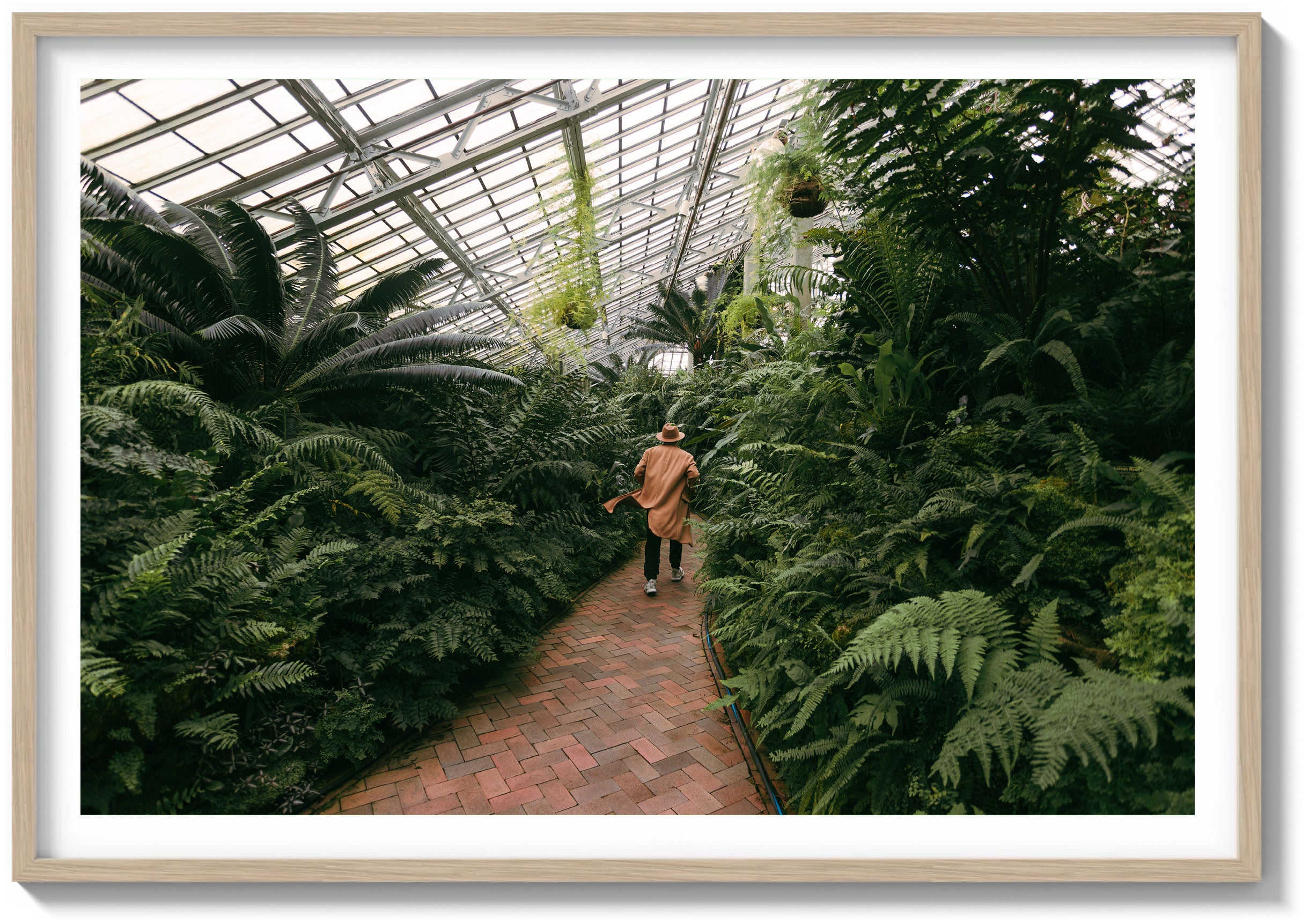 Garfield Park Conservatory