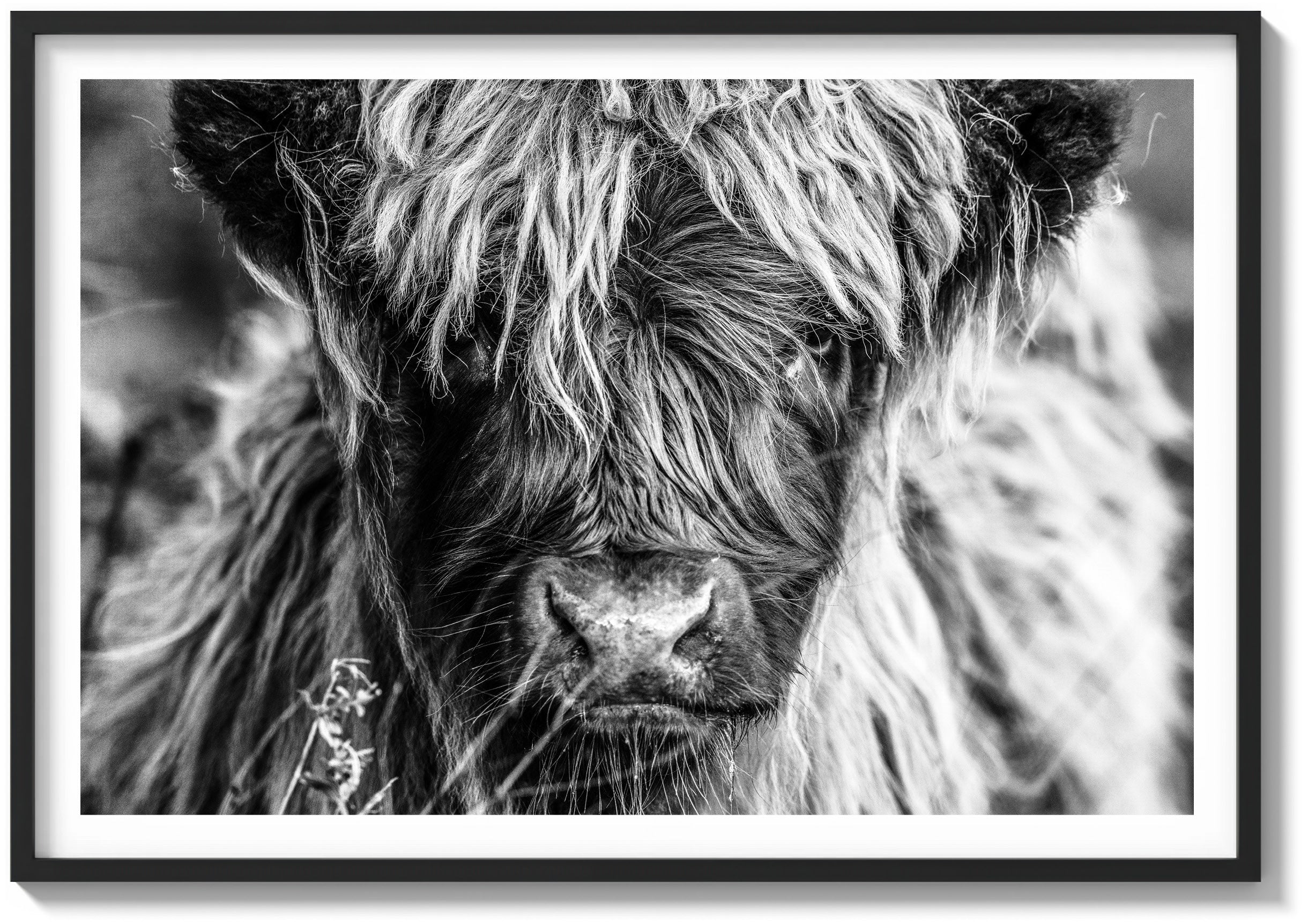 Icon of the Highlands