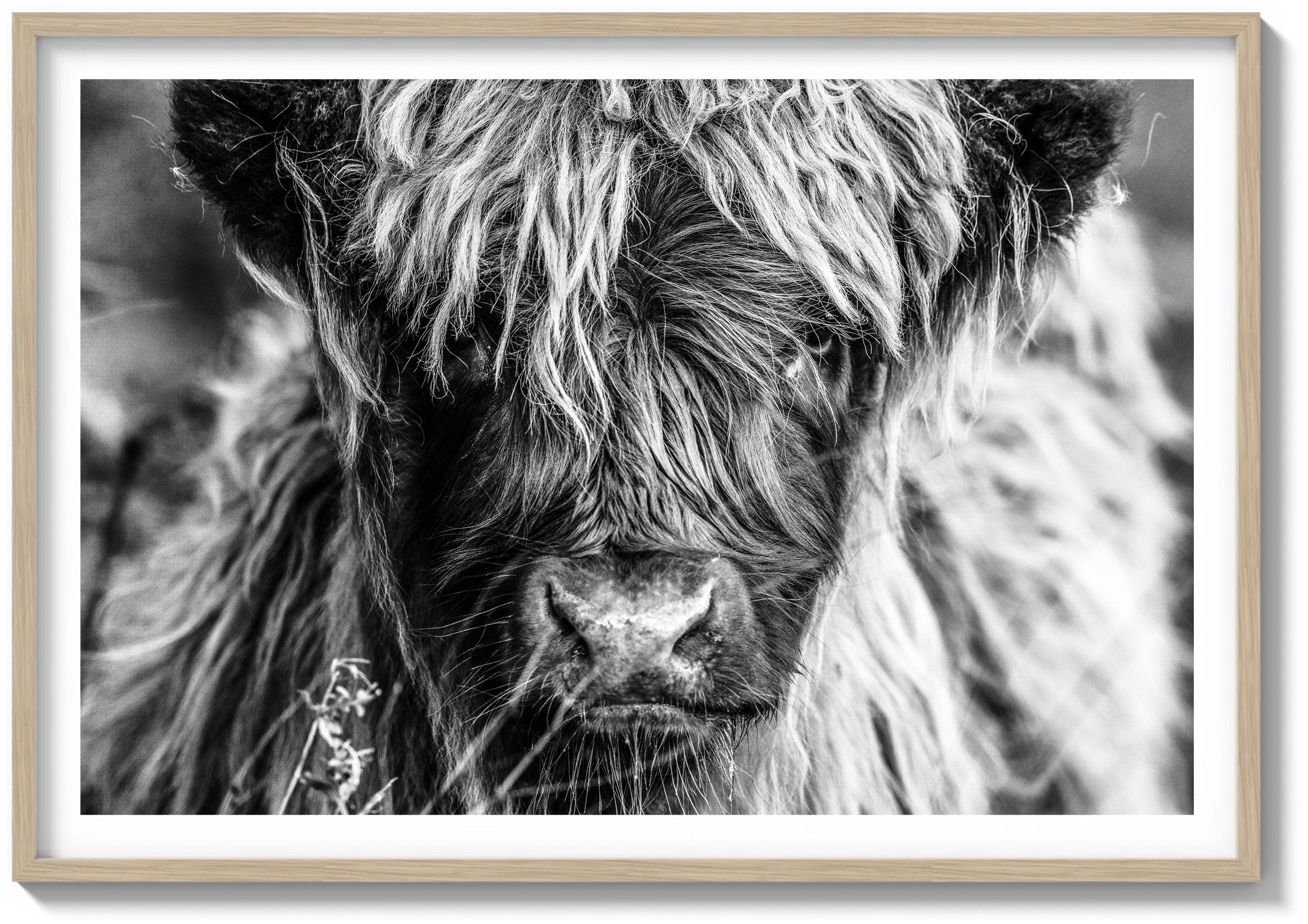 Icon of the Highlands