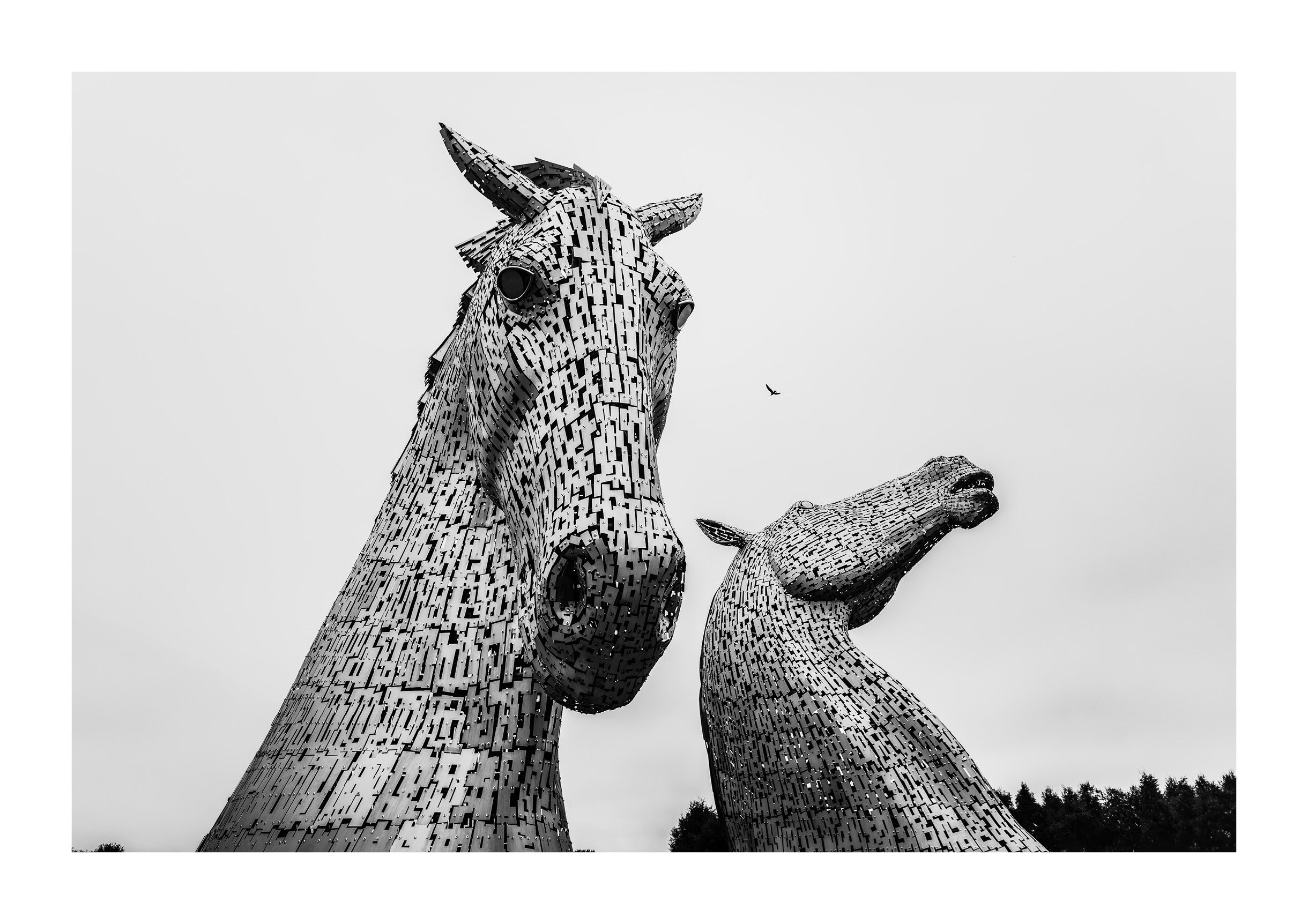 Grey Skies Over the Kelpies