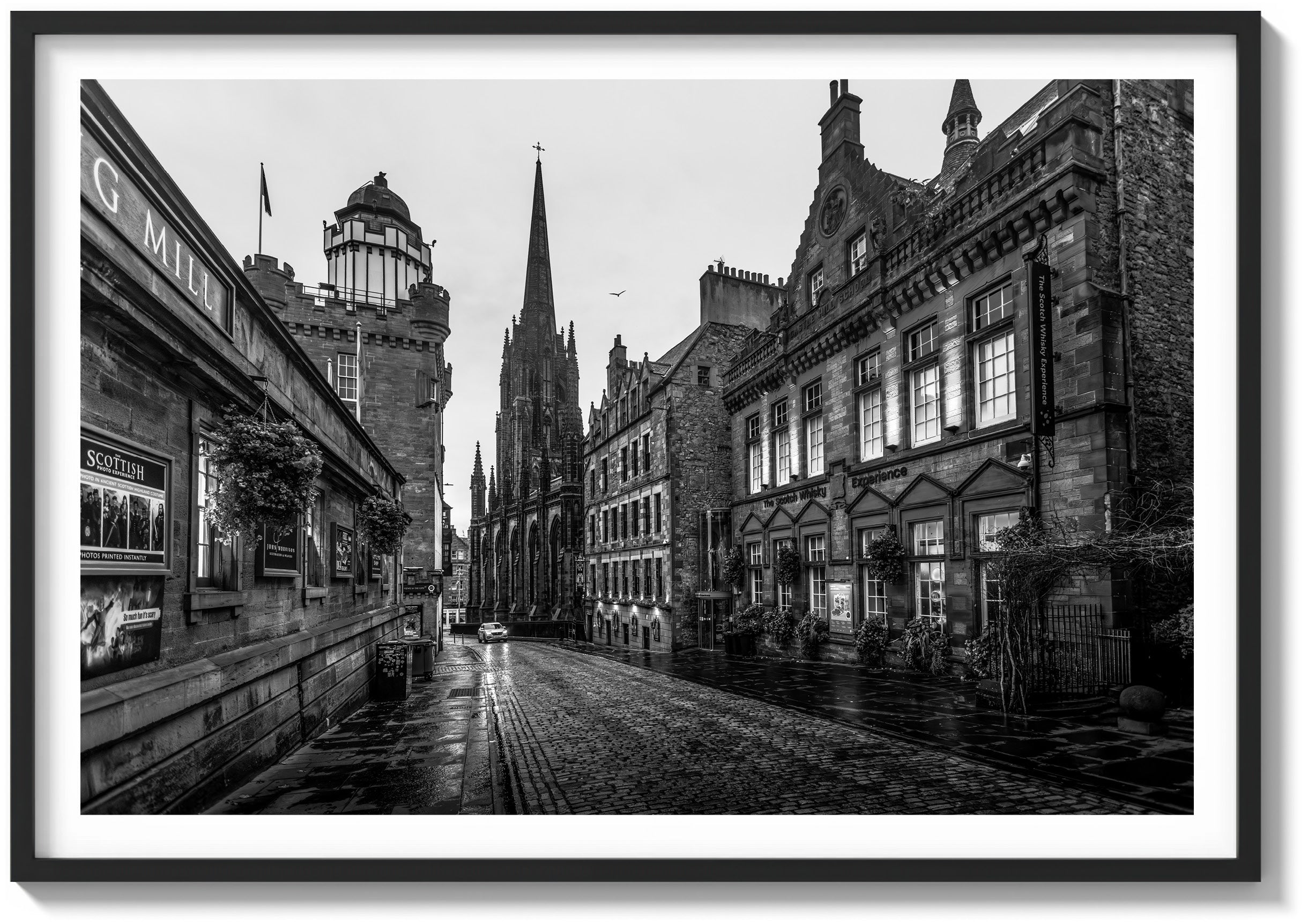 Early Morning On Castle Hill