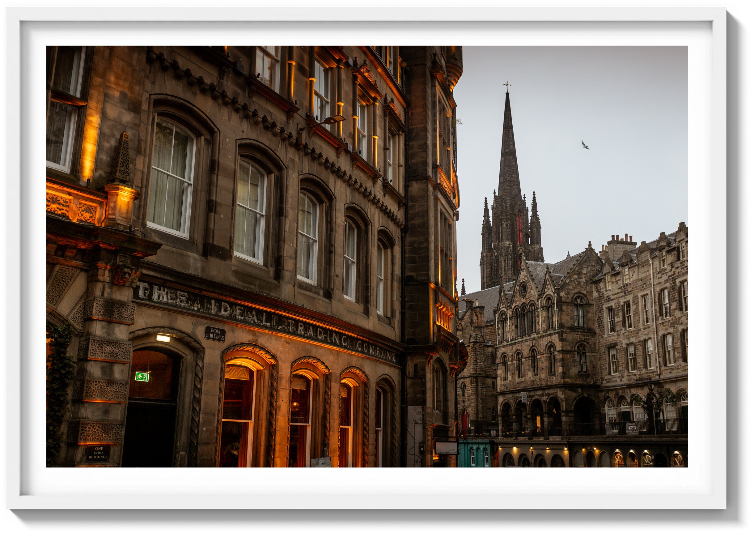 The Ideal Trading Co.