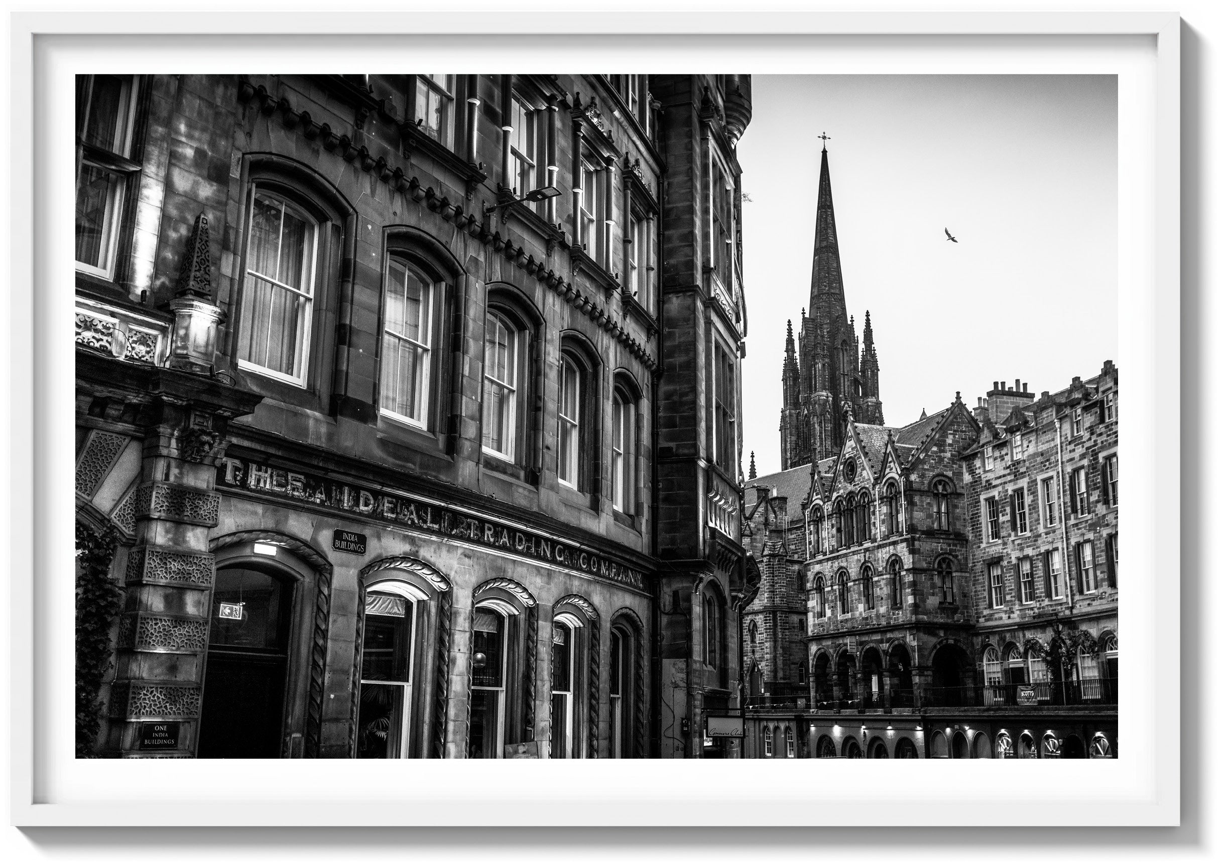 The Ideal Trading Co.