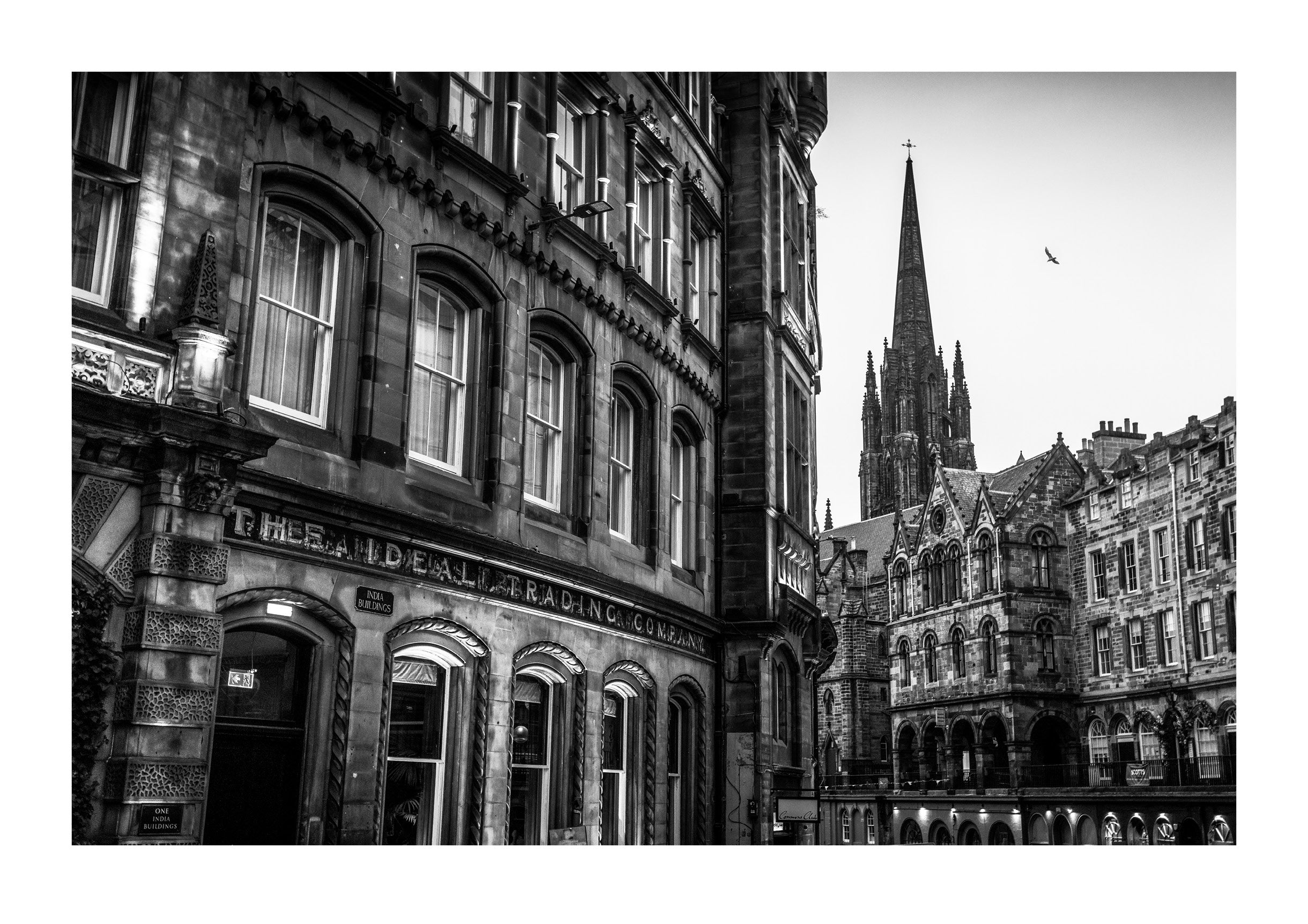 The Ideal Trading Co.