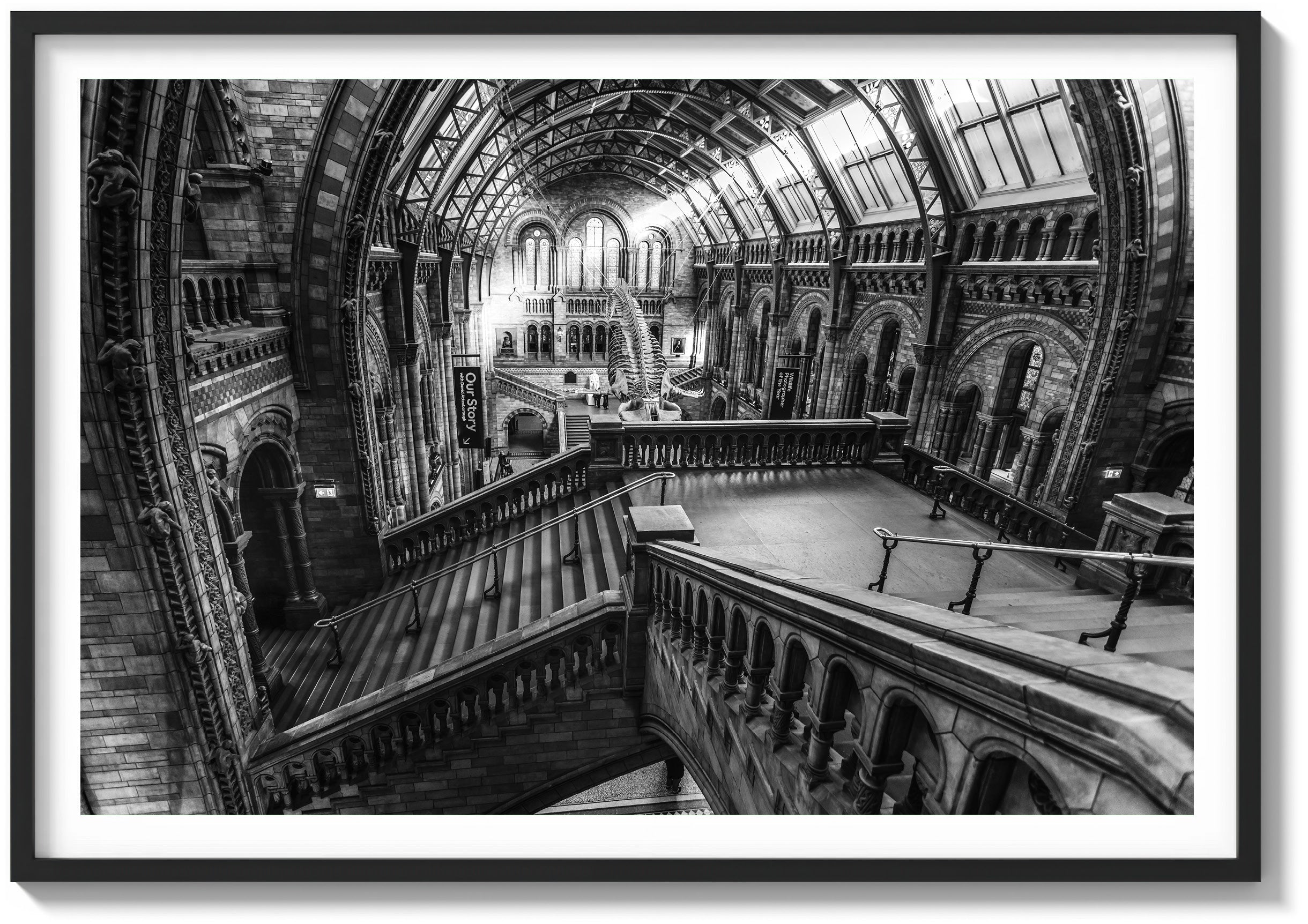 Ascending the History Museum