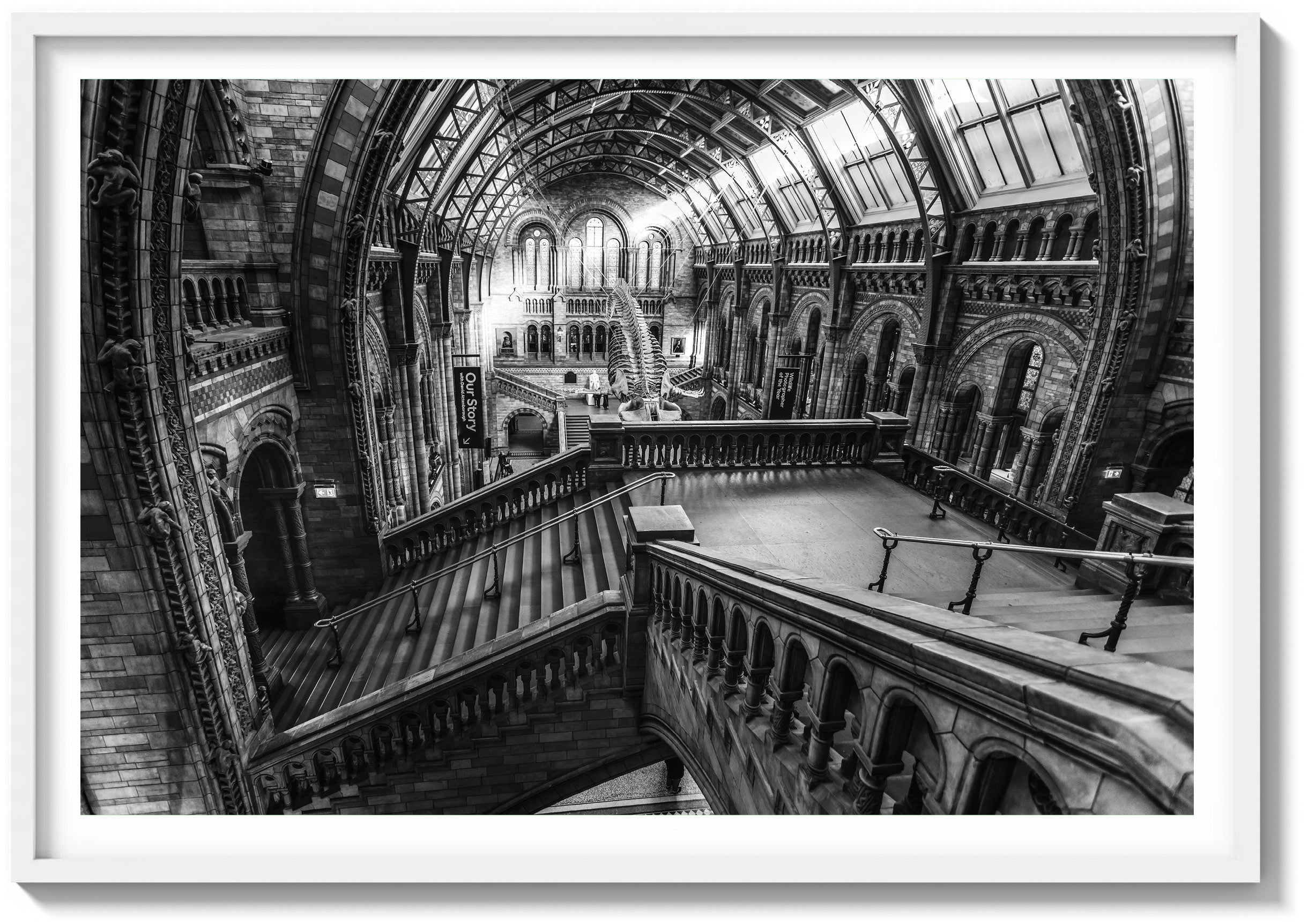 Ascending the History Museum