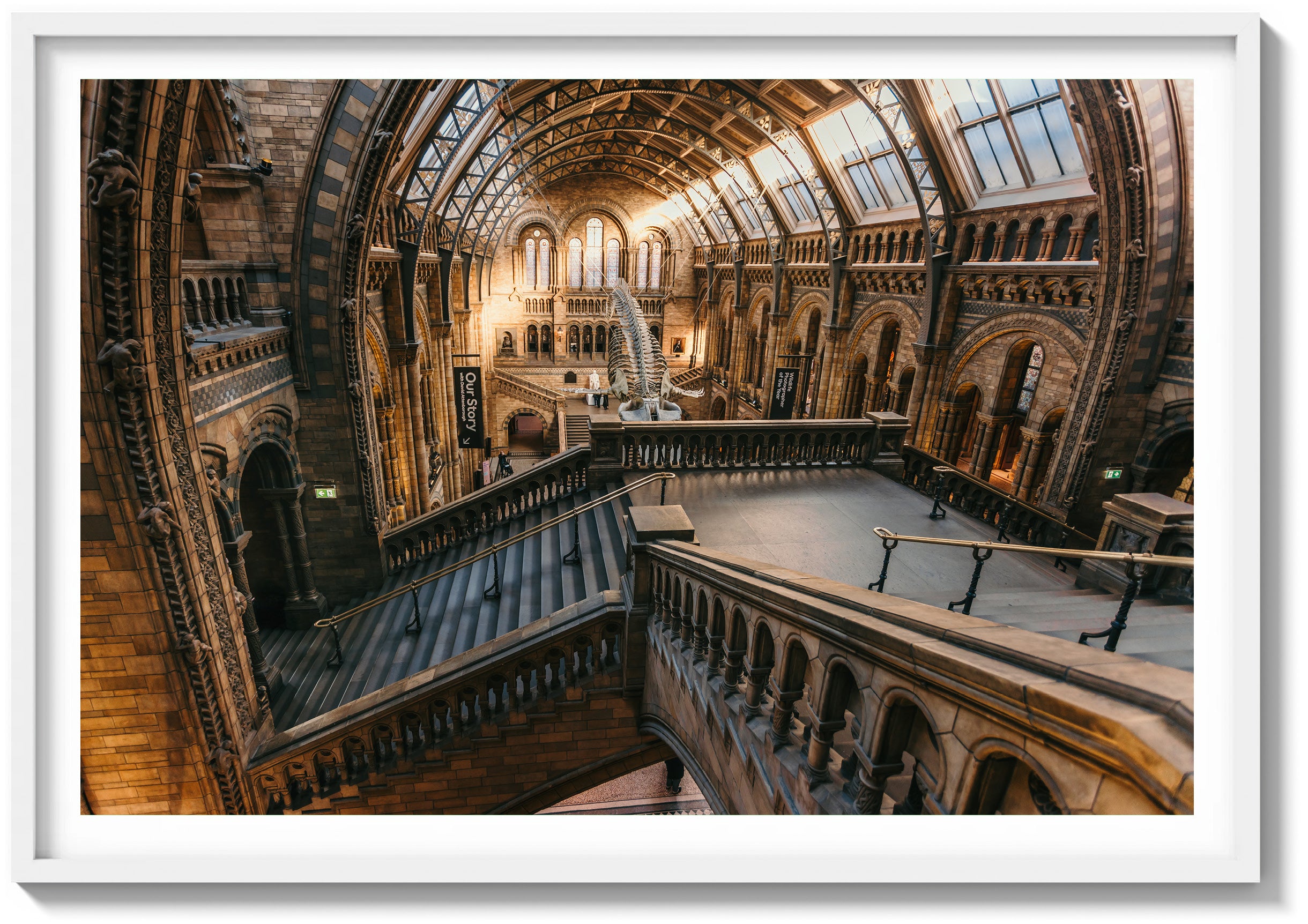 Ascending the History Museum