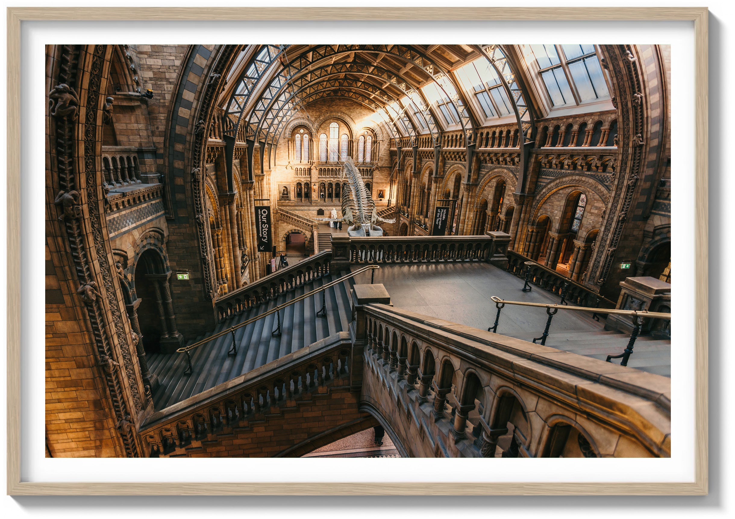 Ascending the History Museum