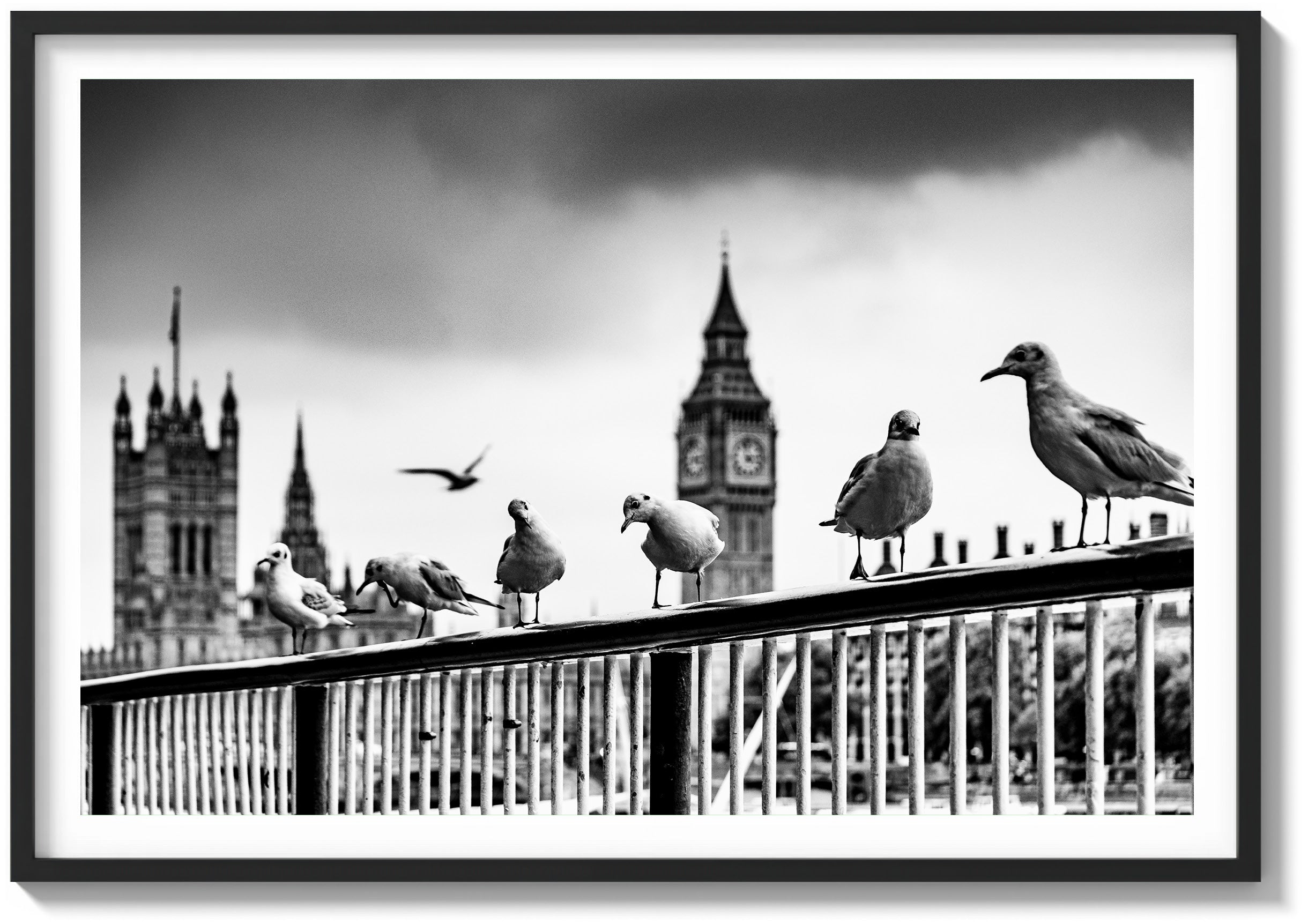 Eyes of the Thames