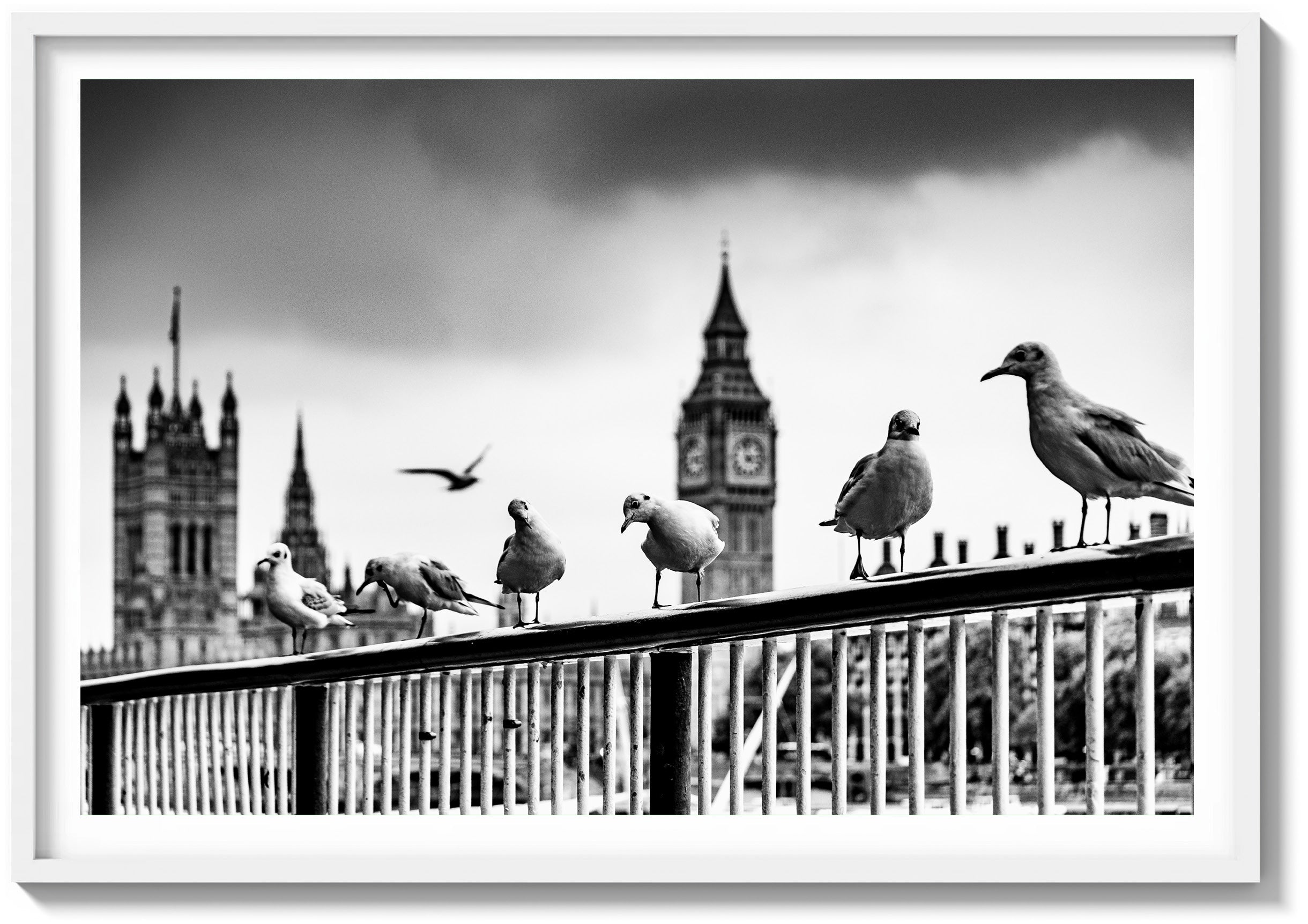 Eyes of the Thames