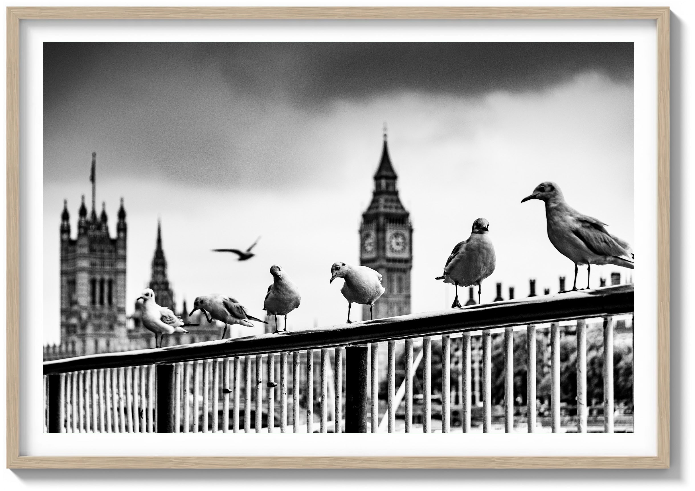 Eyes of the Thames