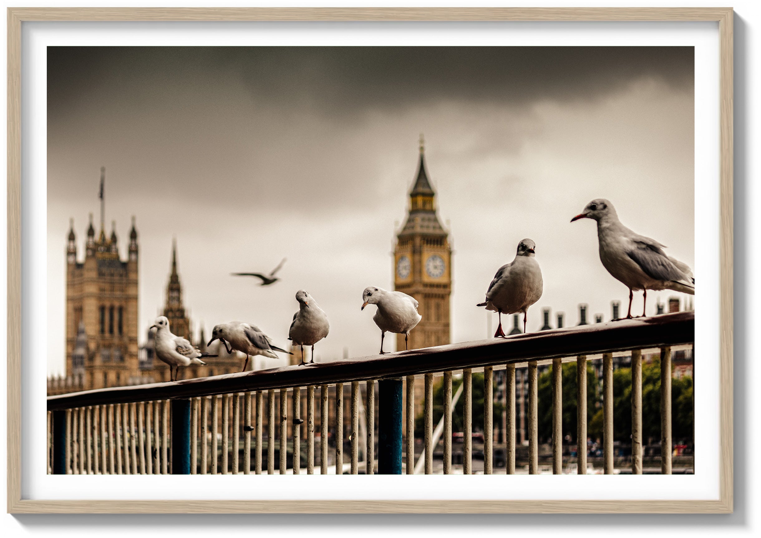 Eyes of the Thames
