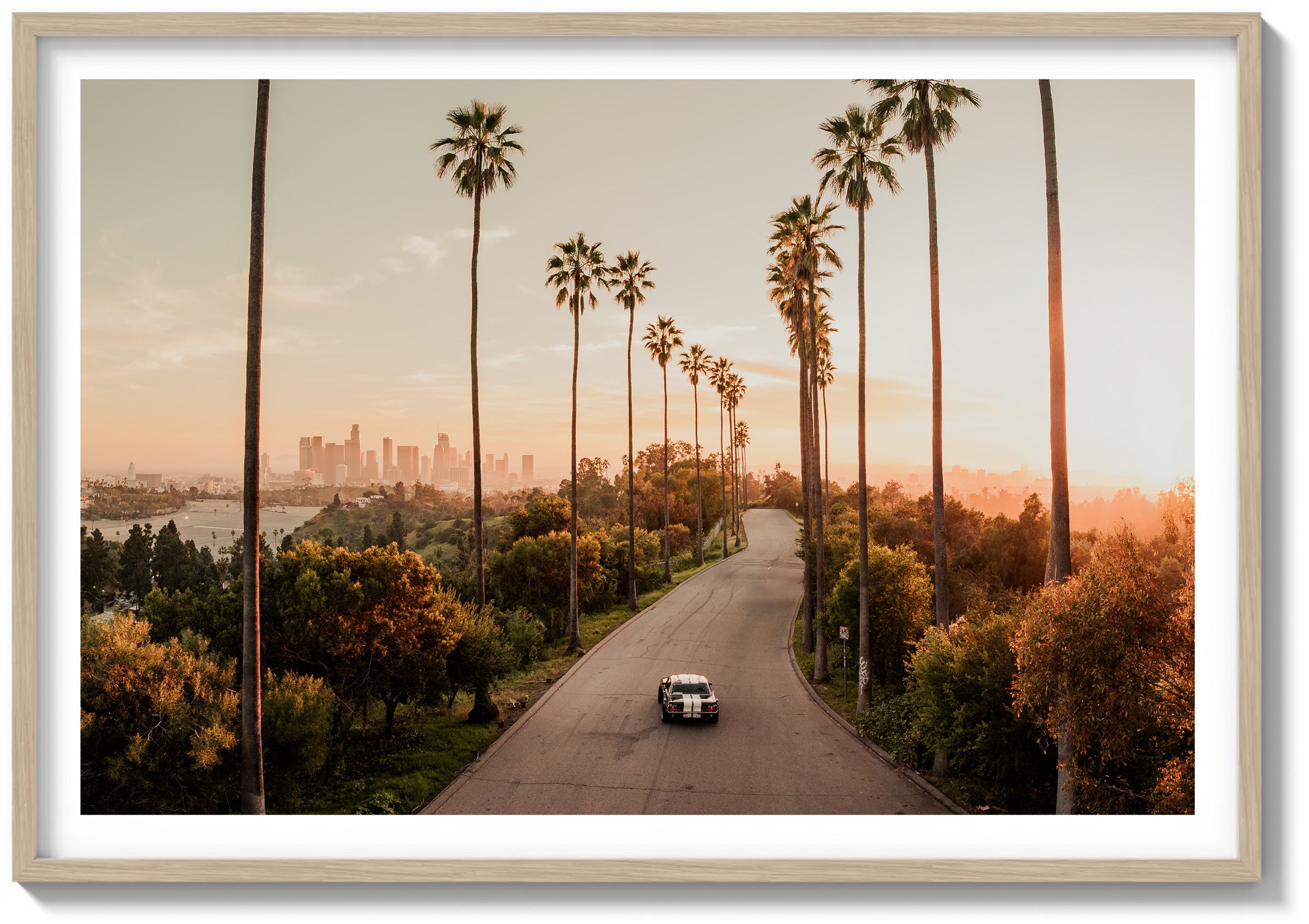 California Forever