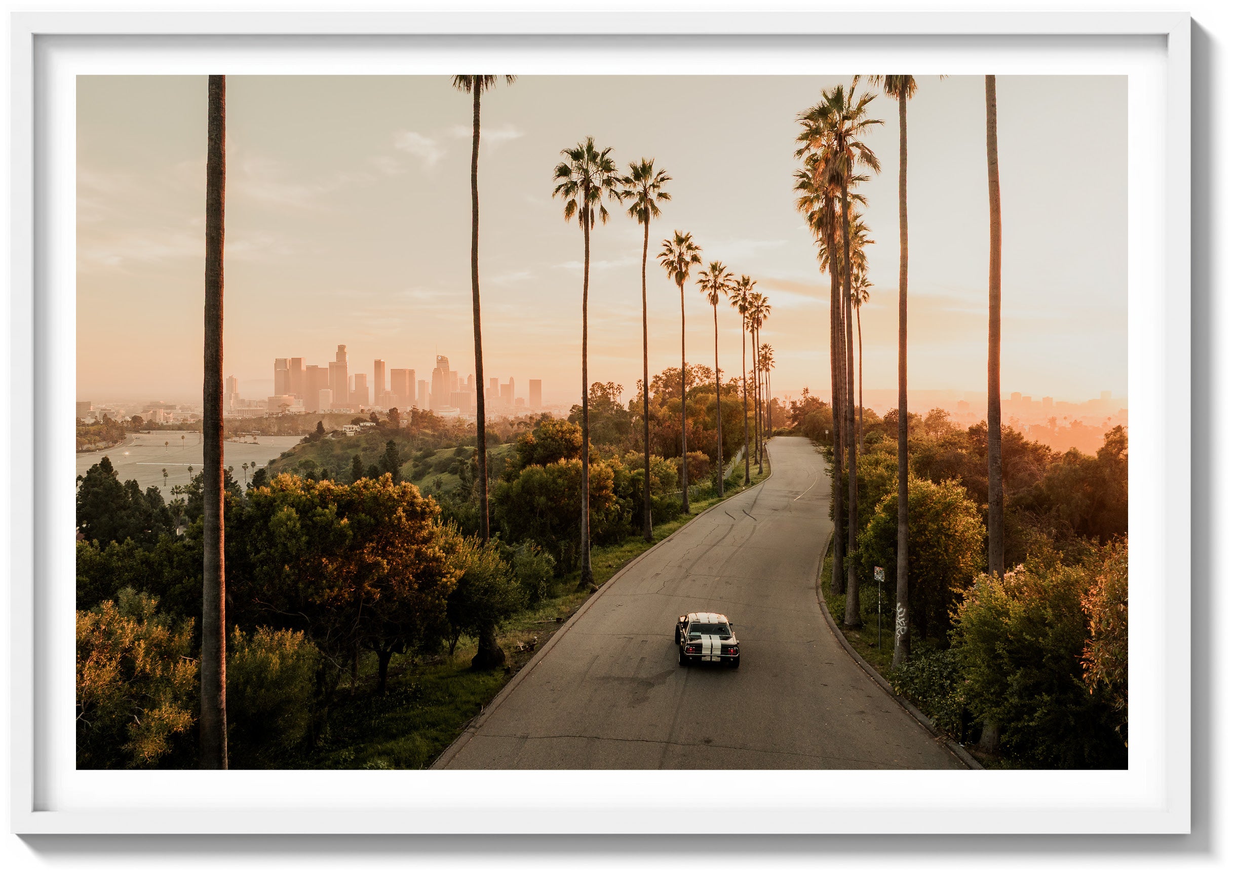 The tall palms rise in clean vertical lines, framing the road as it curves gently through dense, sunlit greenery. The artwork is rendered in color and displayed in a white wood frame.