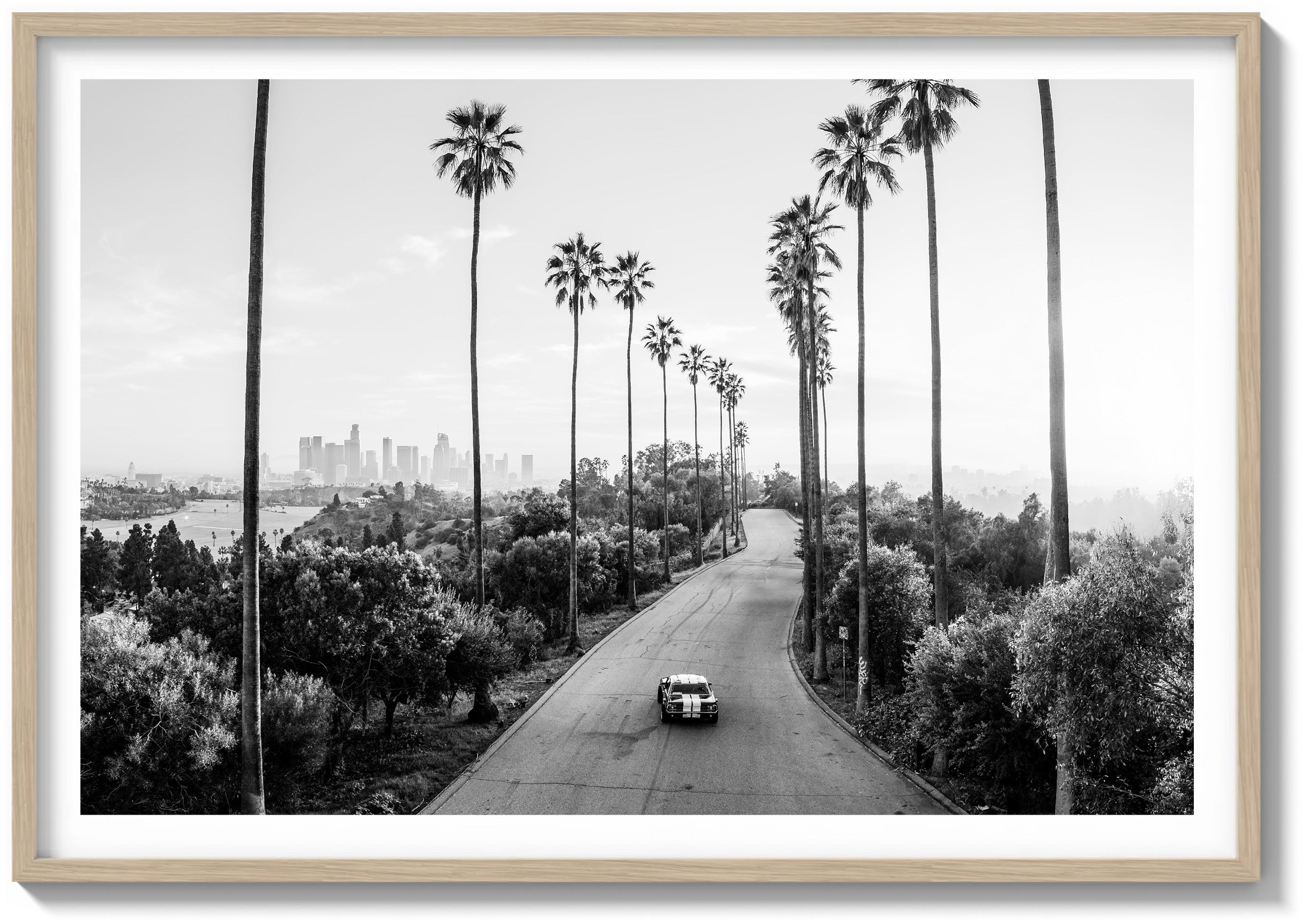 California Forever