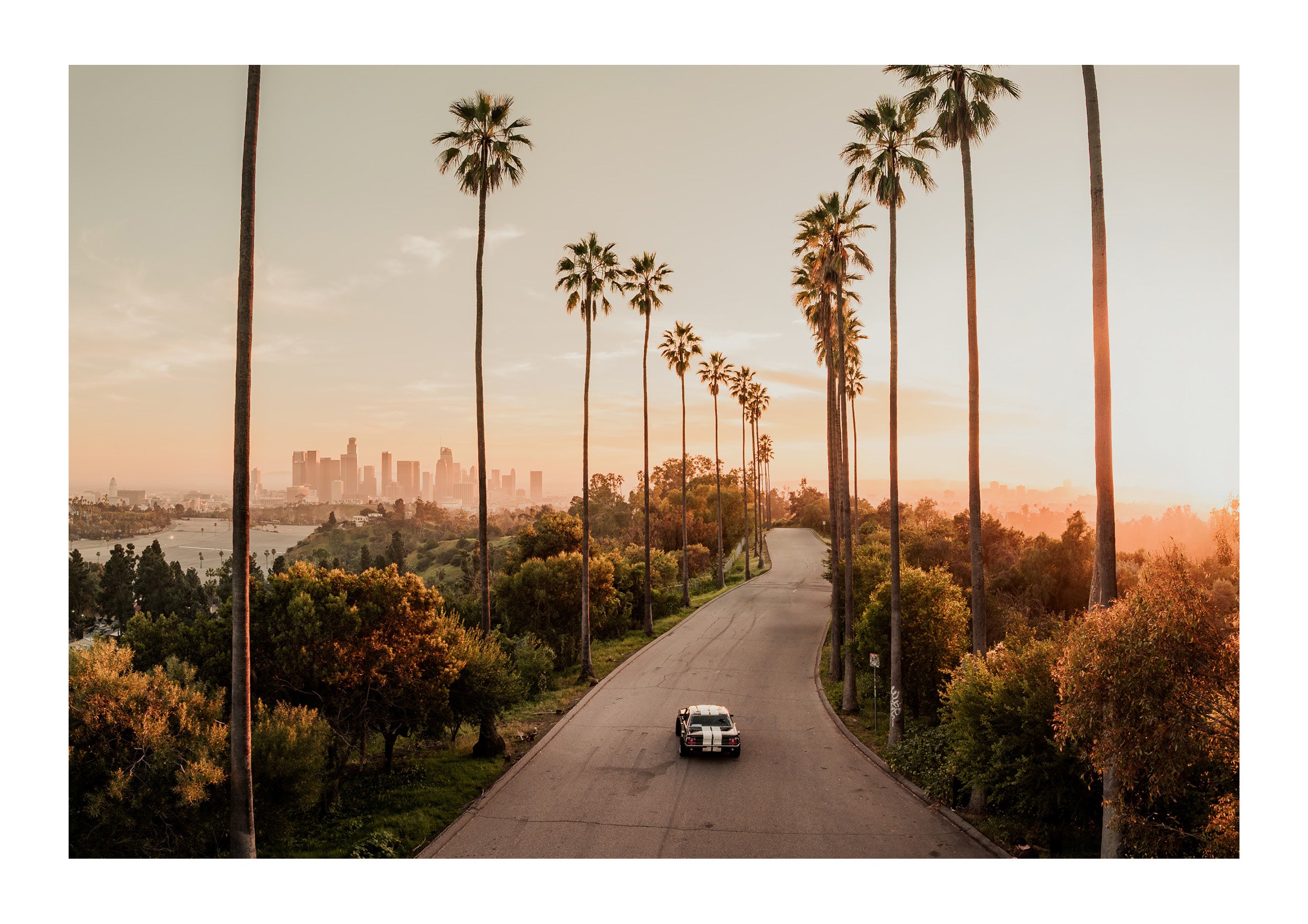 California Forever