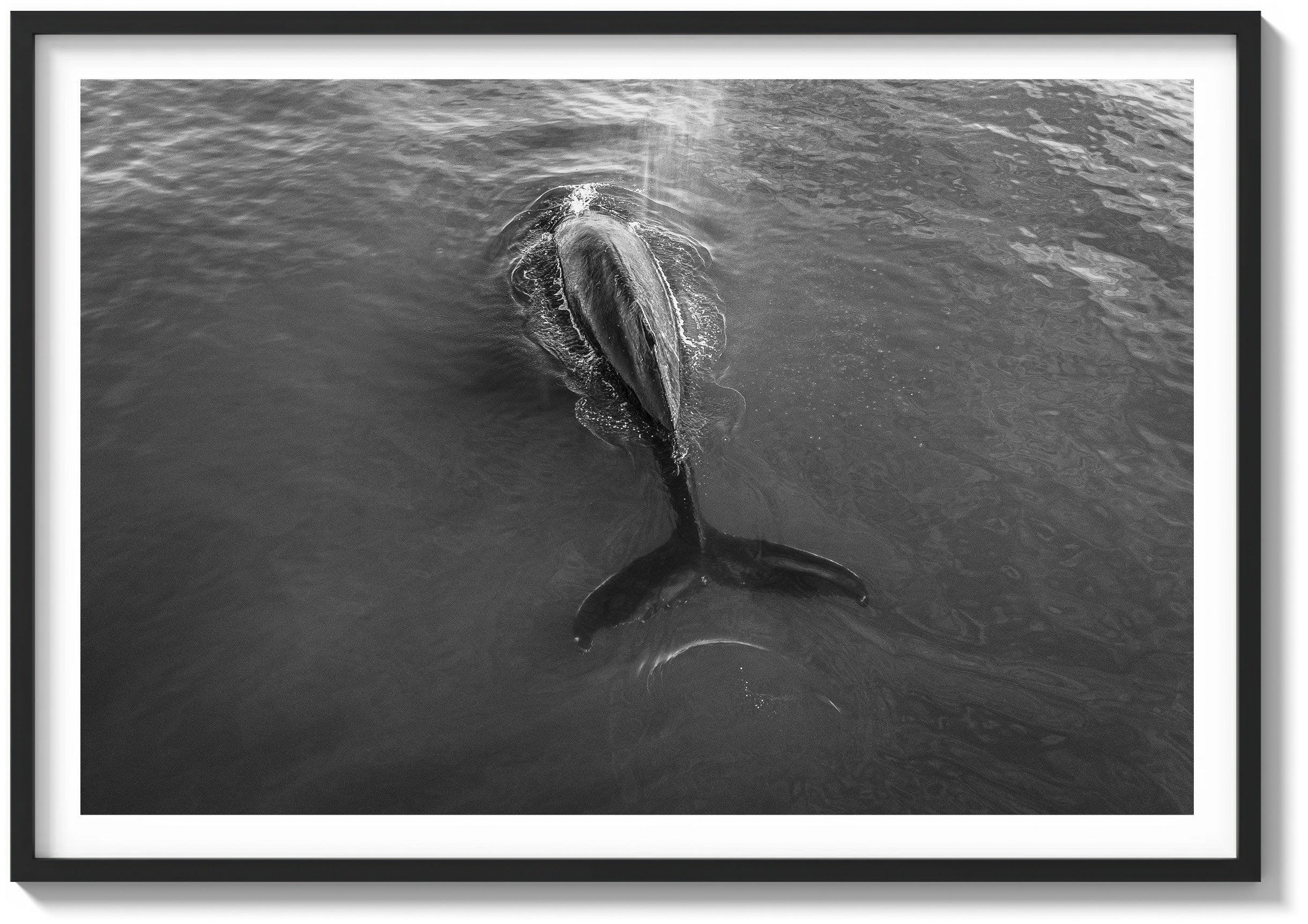 Shadow of the Sea