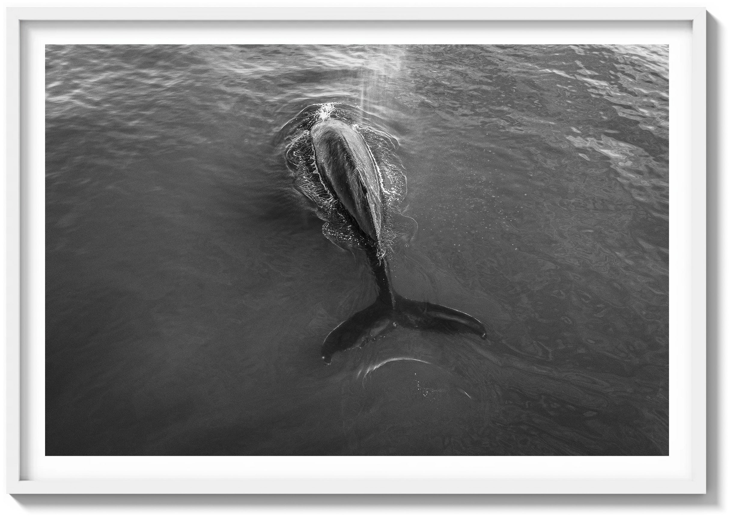 Shadow of the Sea