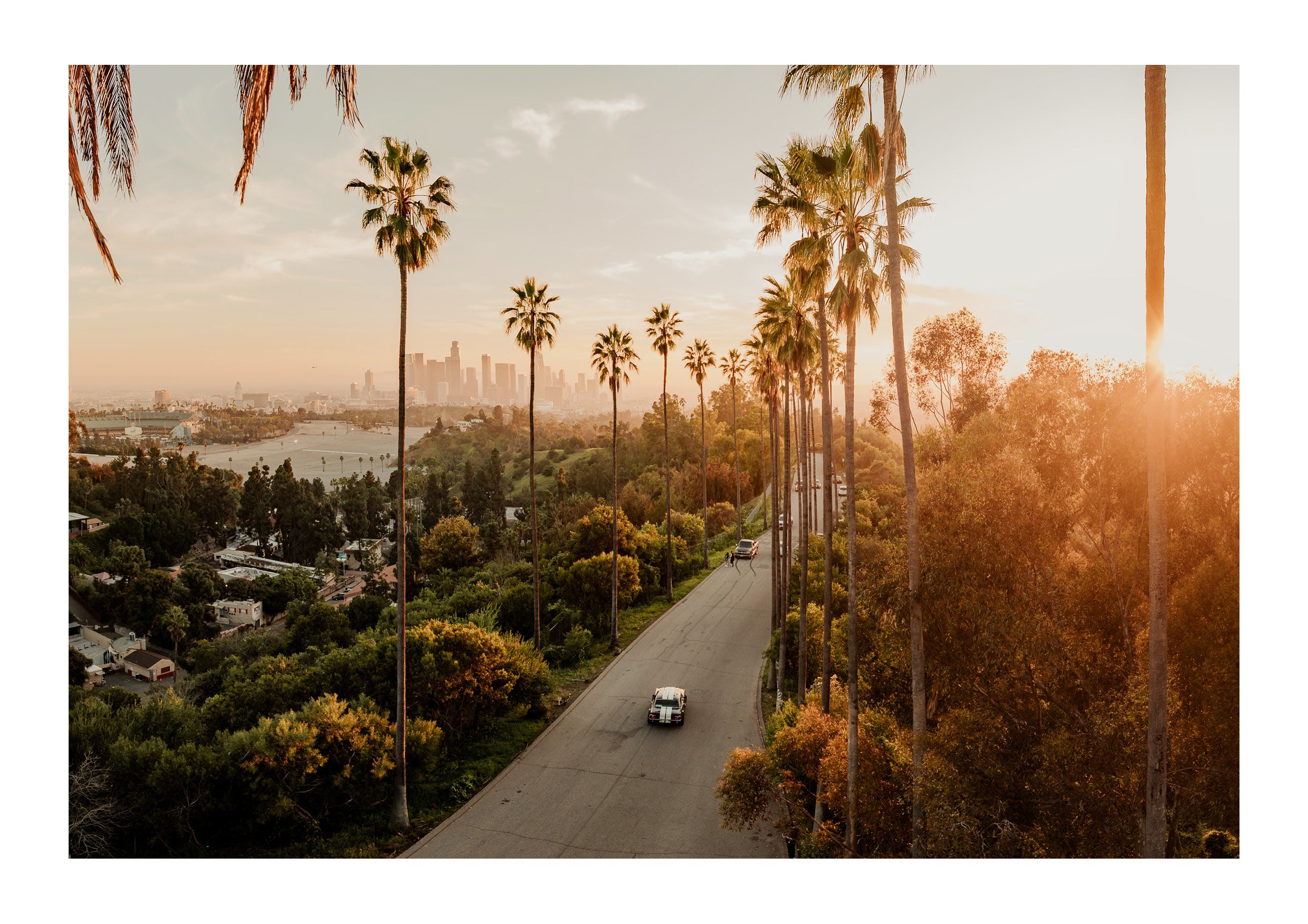 LA Calling
