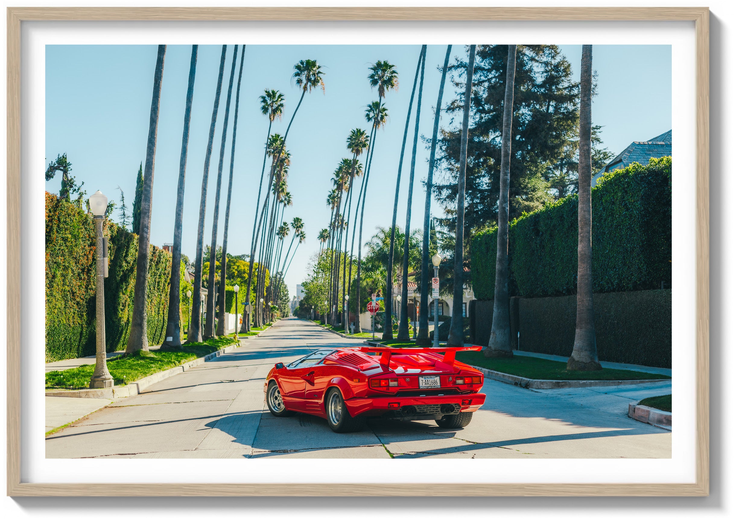 Beast of Beverly Hills