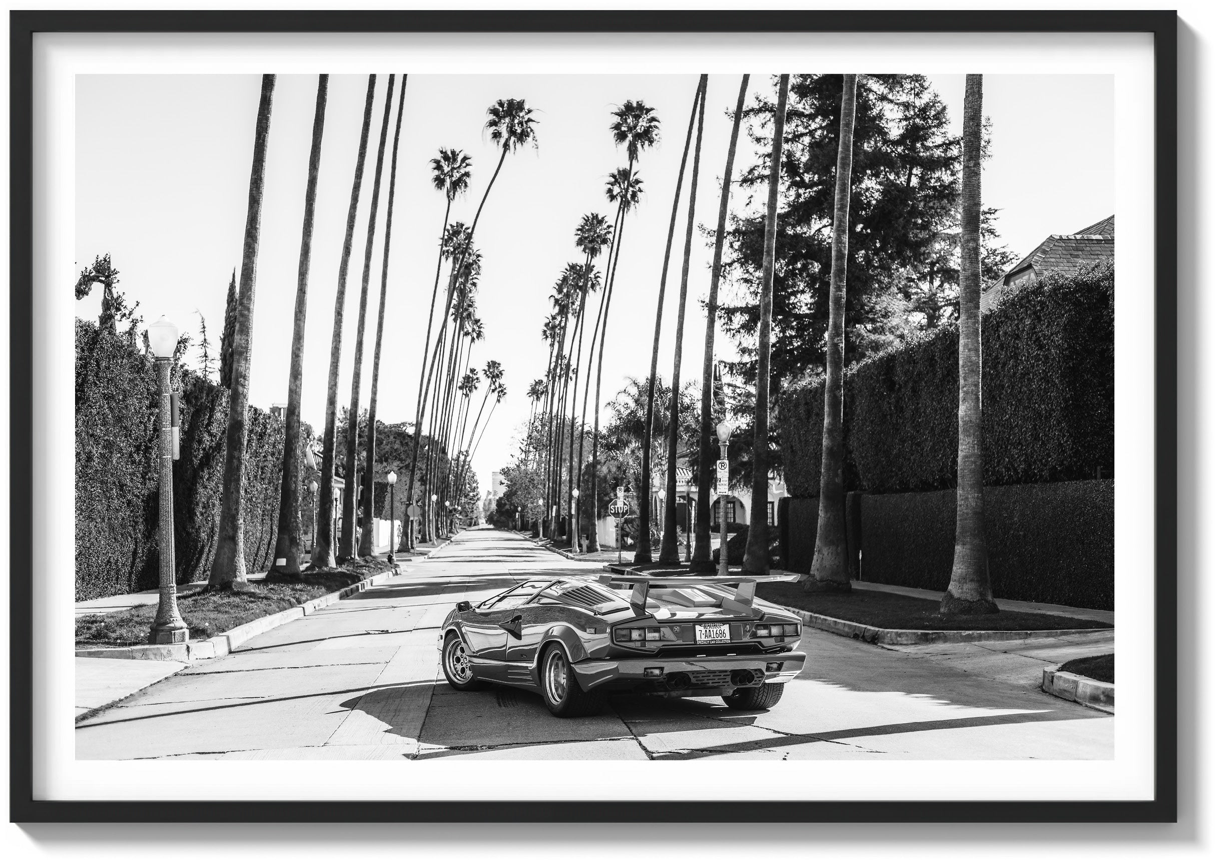 Beast of Beverly Hills