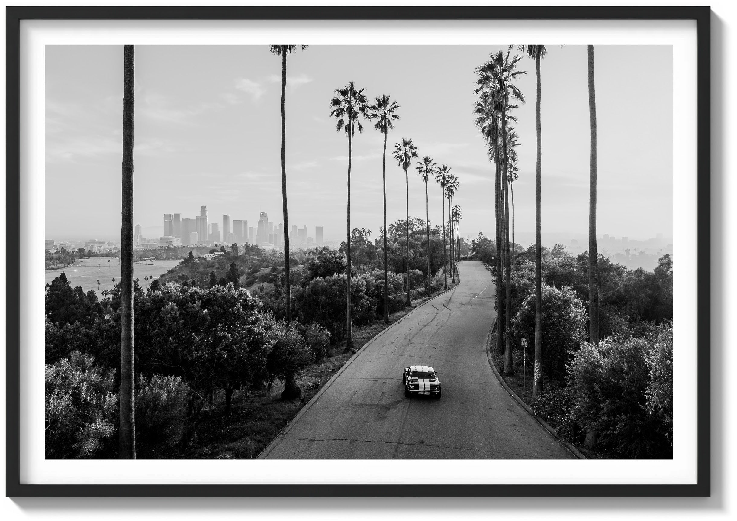 The tall palms rise in clean vertical lines, framing the road as it curves gently through dense, sunlit greenery. The artwork is rendered in black and white and displayed in a black wood frame.