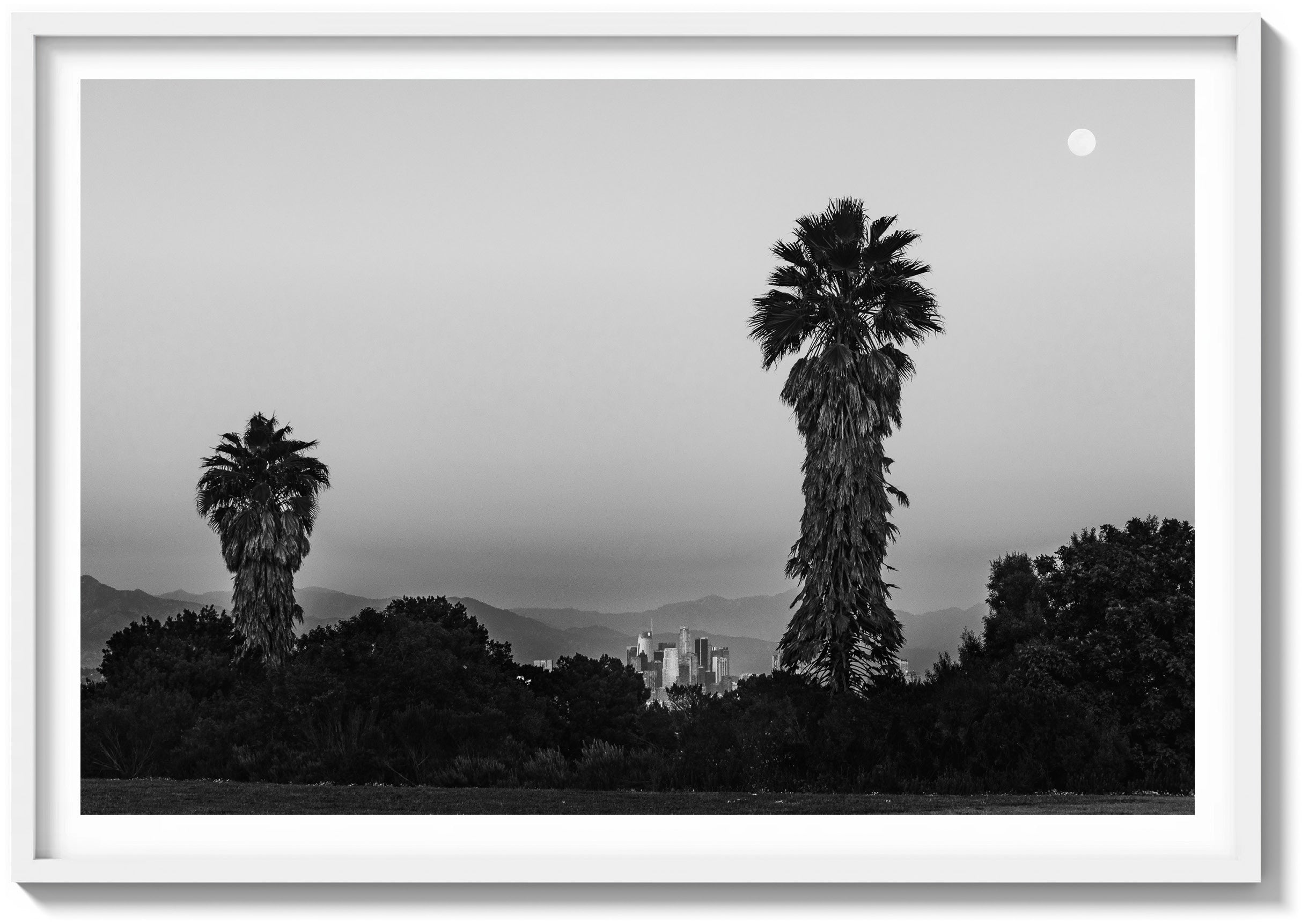 Park Palms