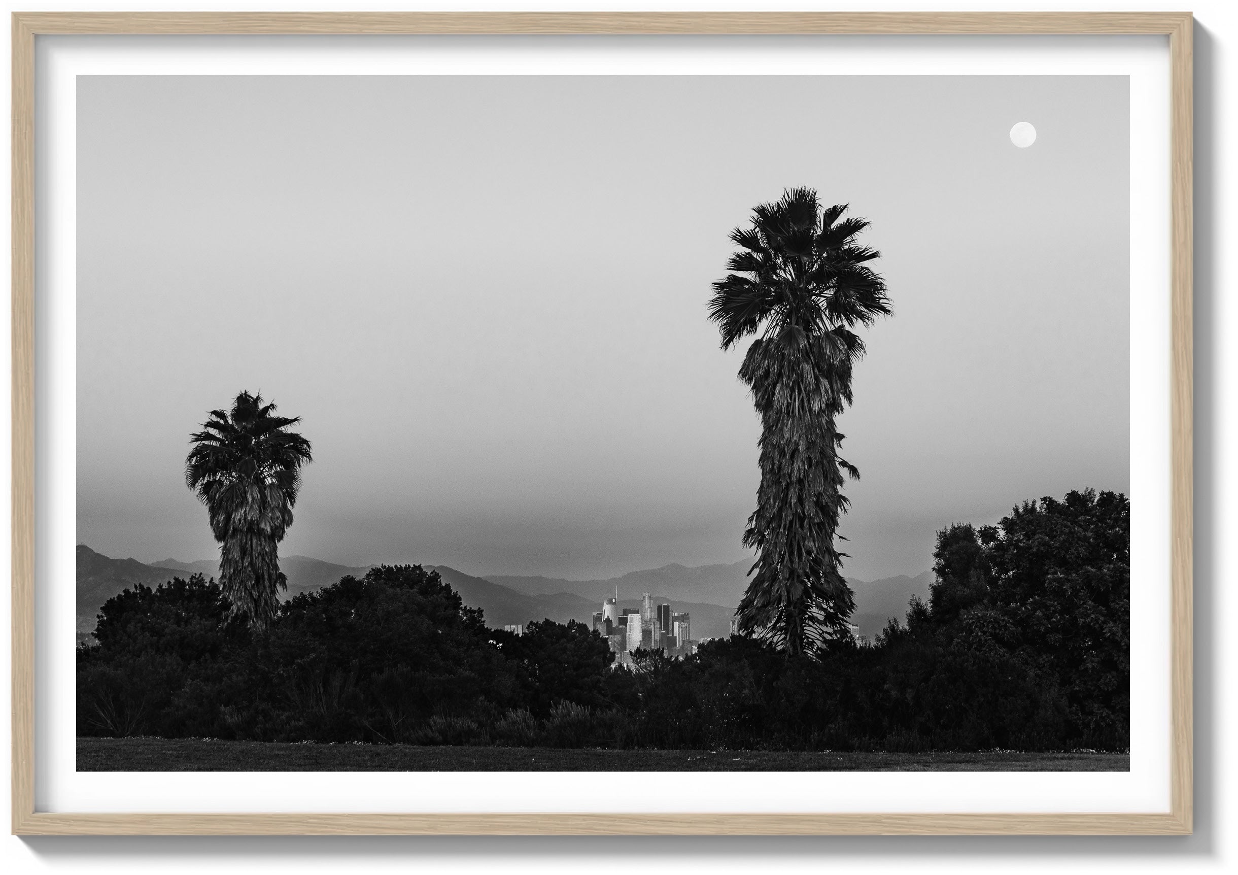 Park Palms