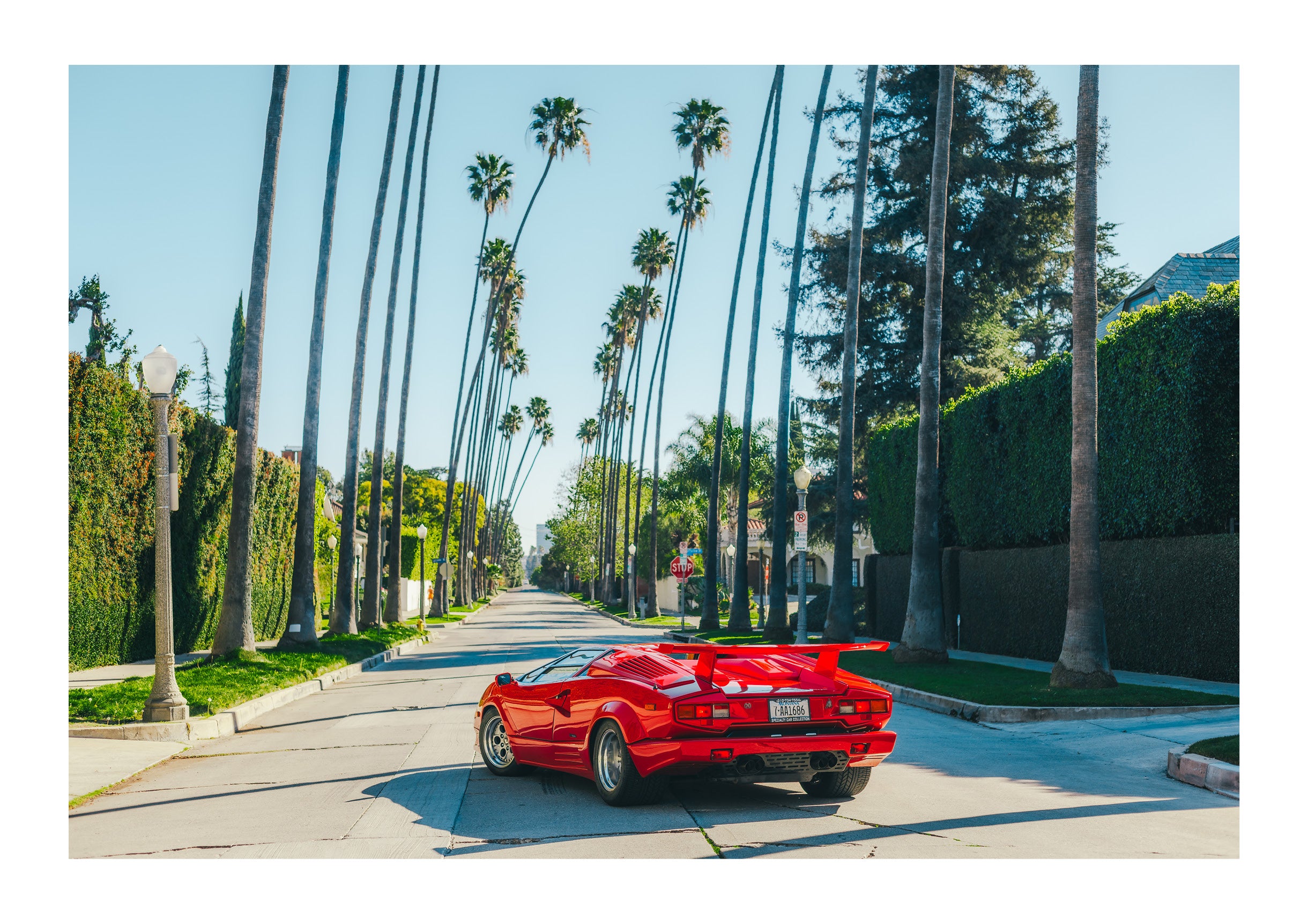 Beast of Beverly Hills