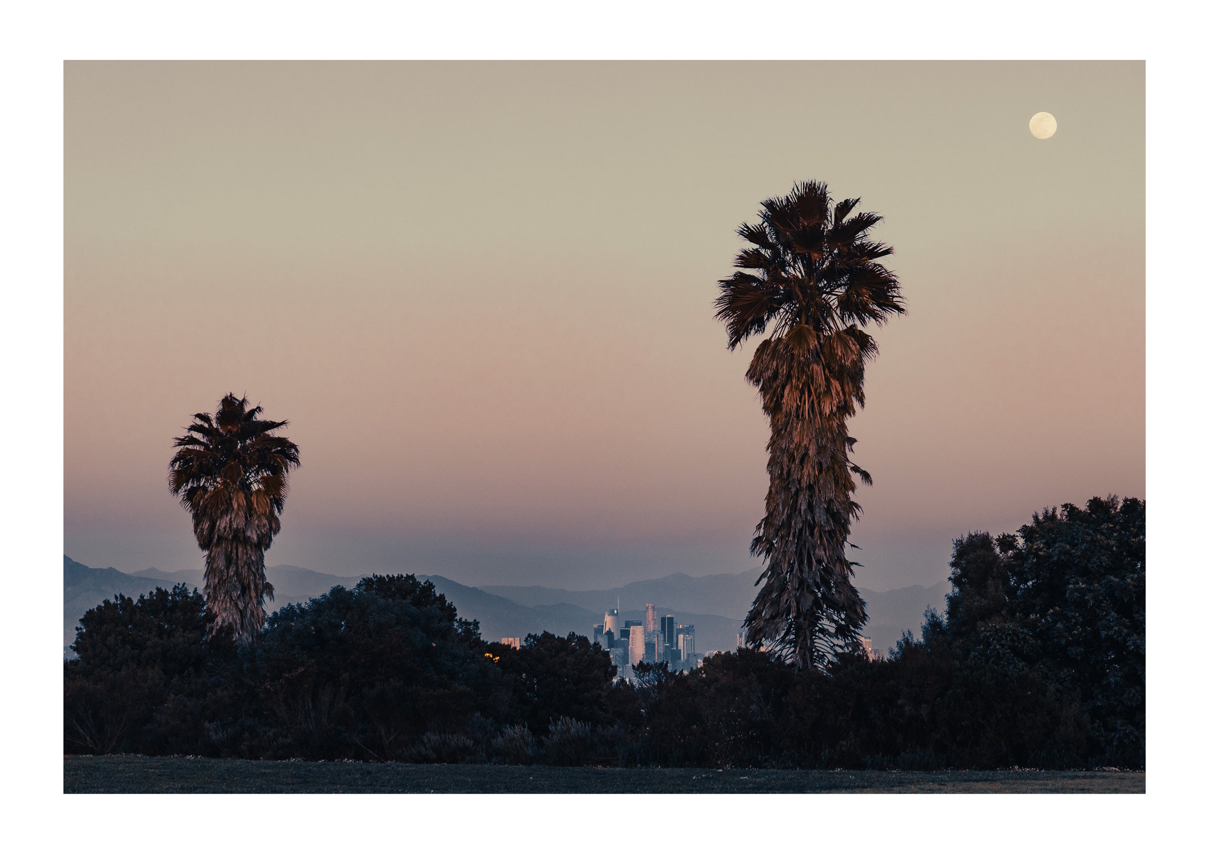 Park Palms