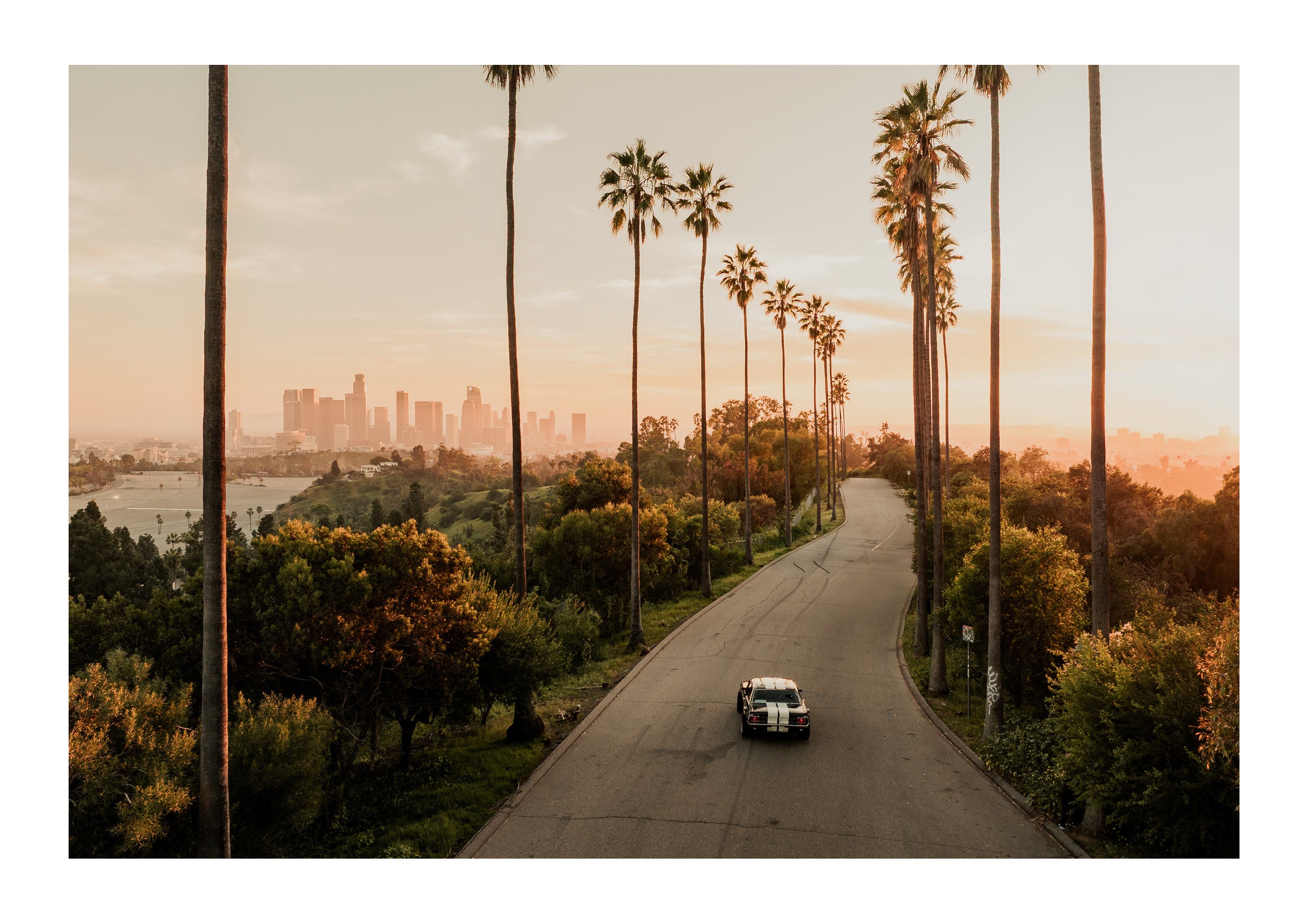 The tall palms rise in clean vertical lines, framing the road as it curves gently through dense, sunlit greenery. The unframed print is rendered in color.
