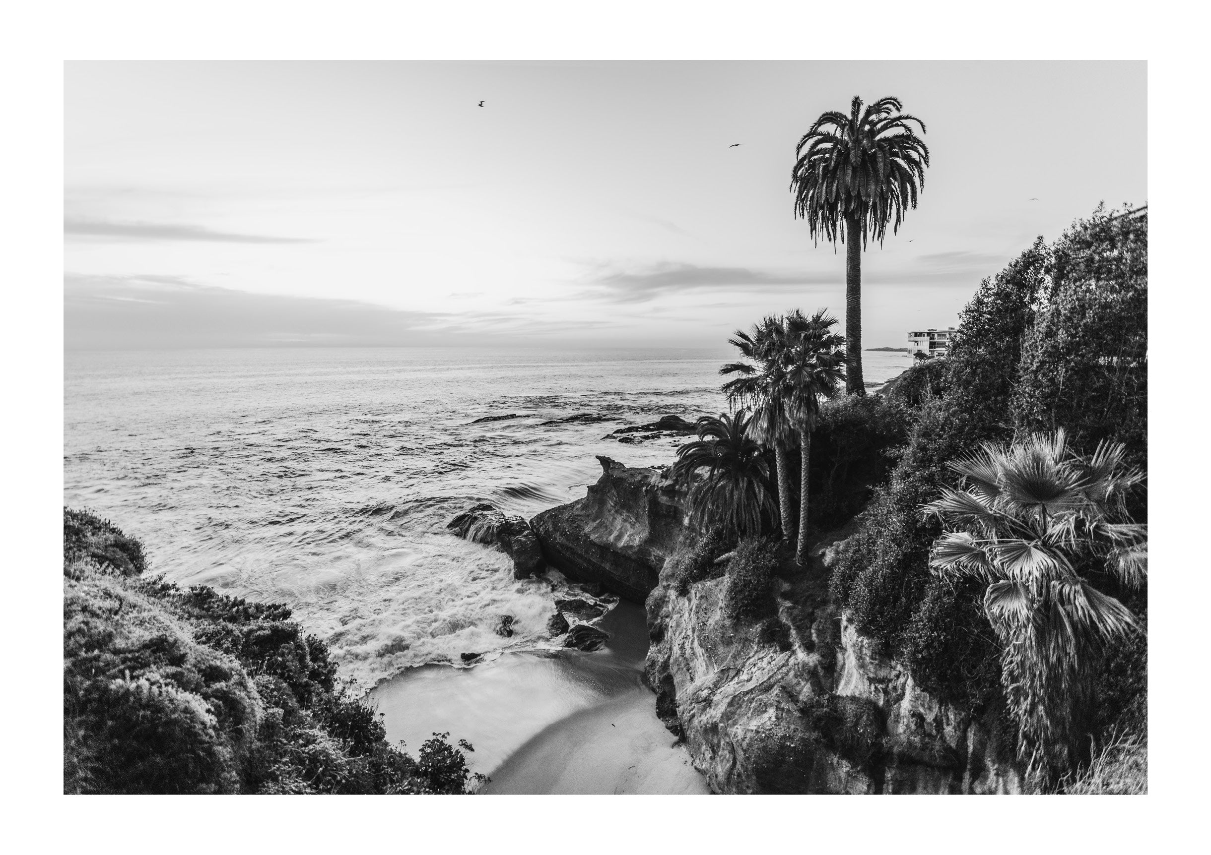 Secret Cove