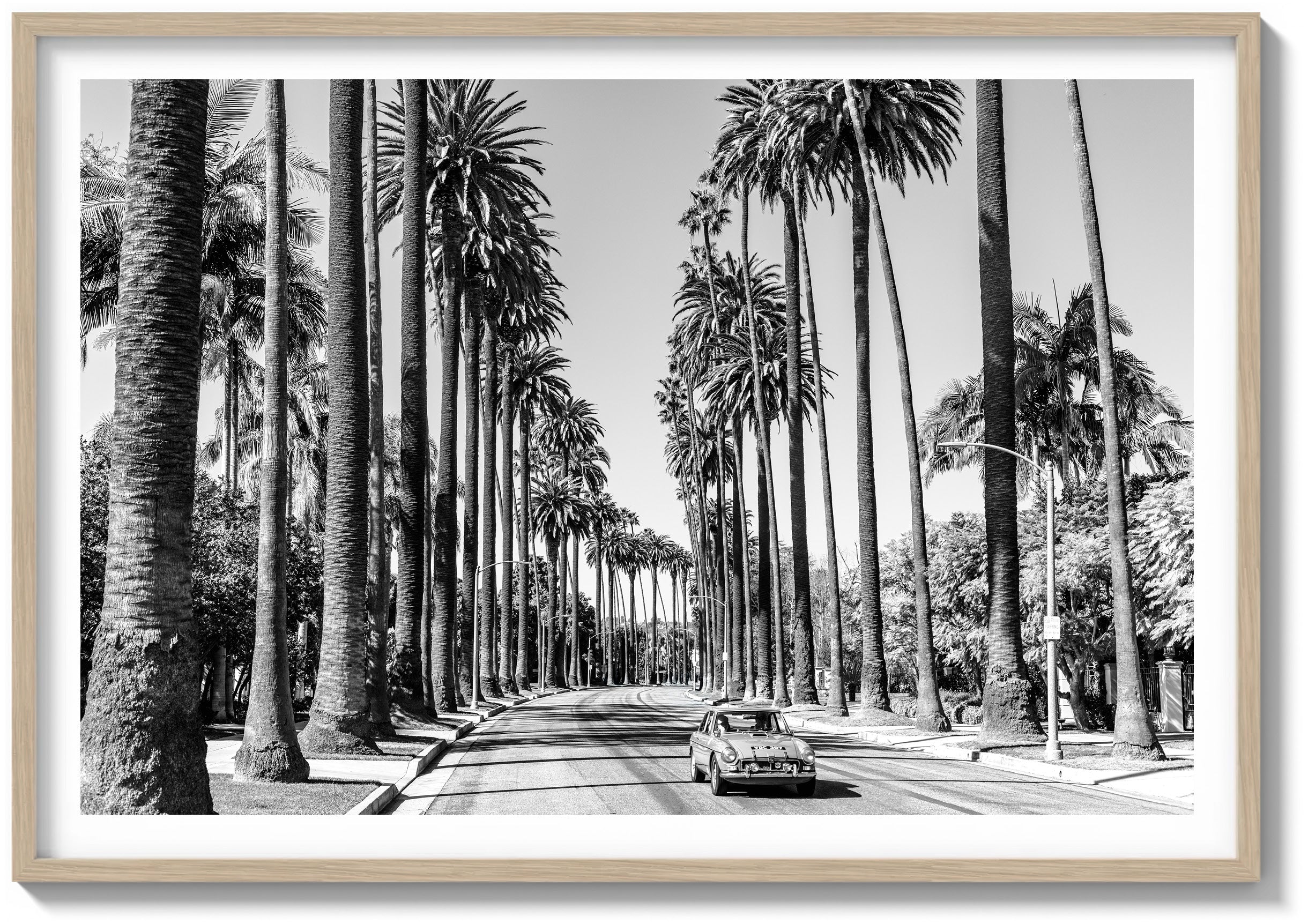 A Quiet Drive in Beverly Hills