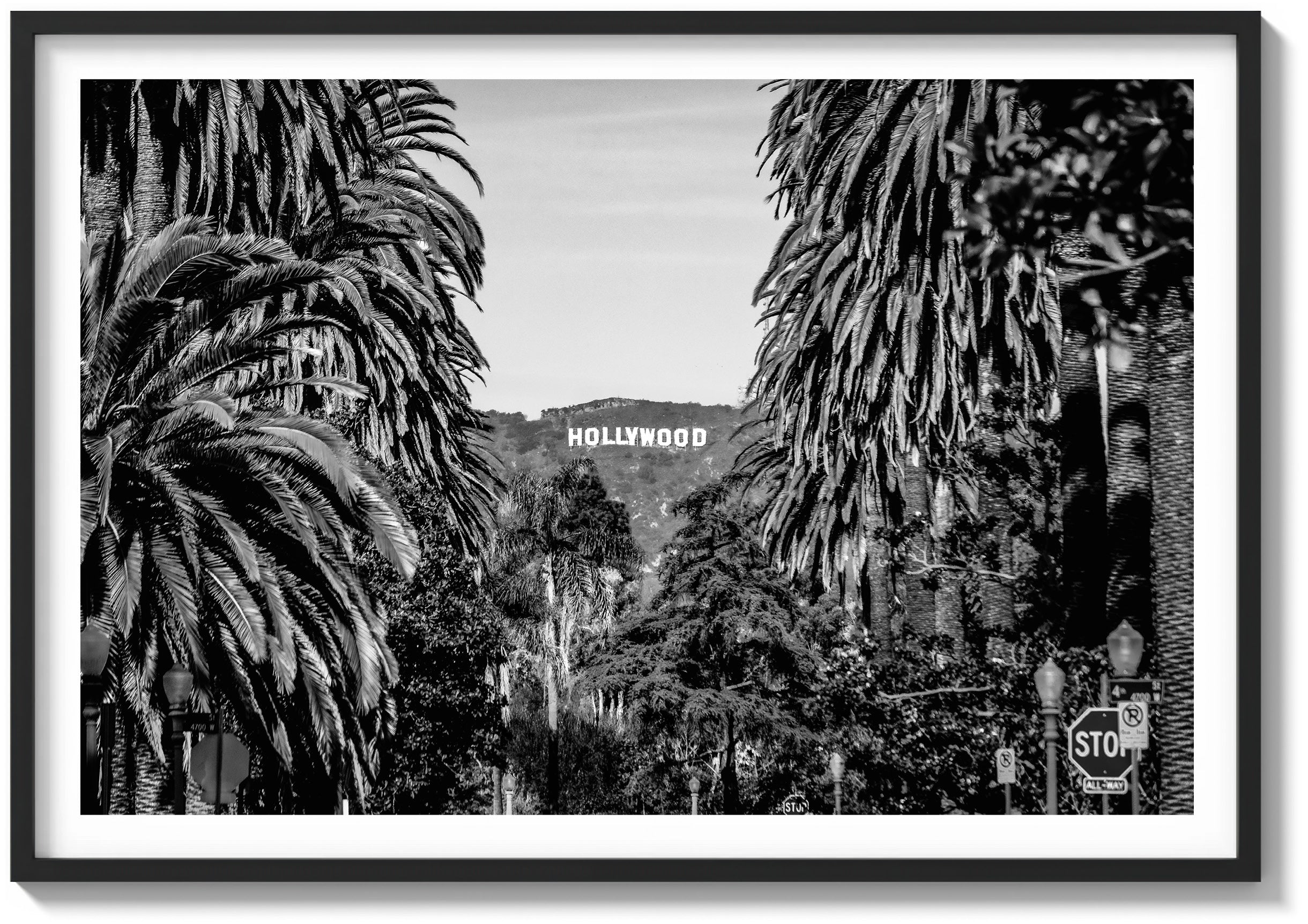 Palm View