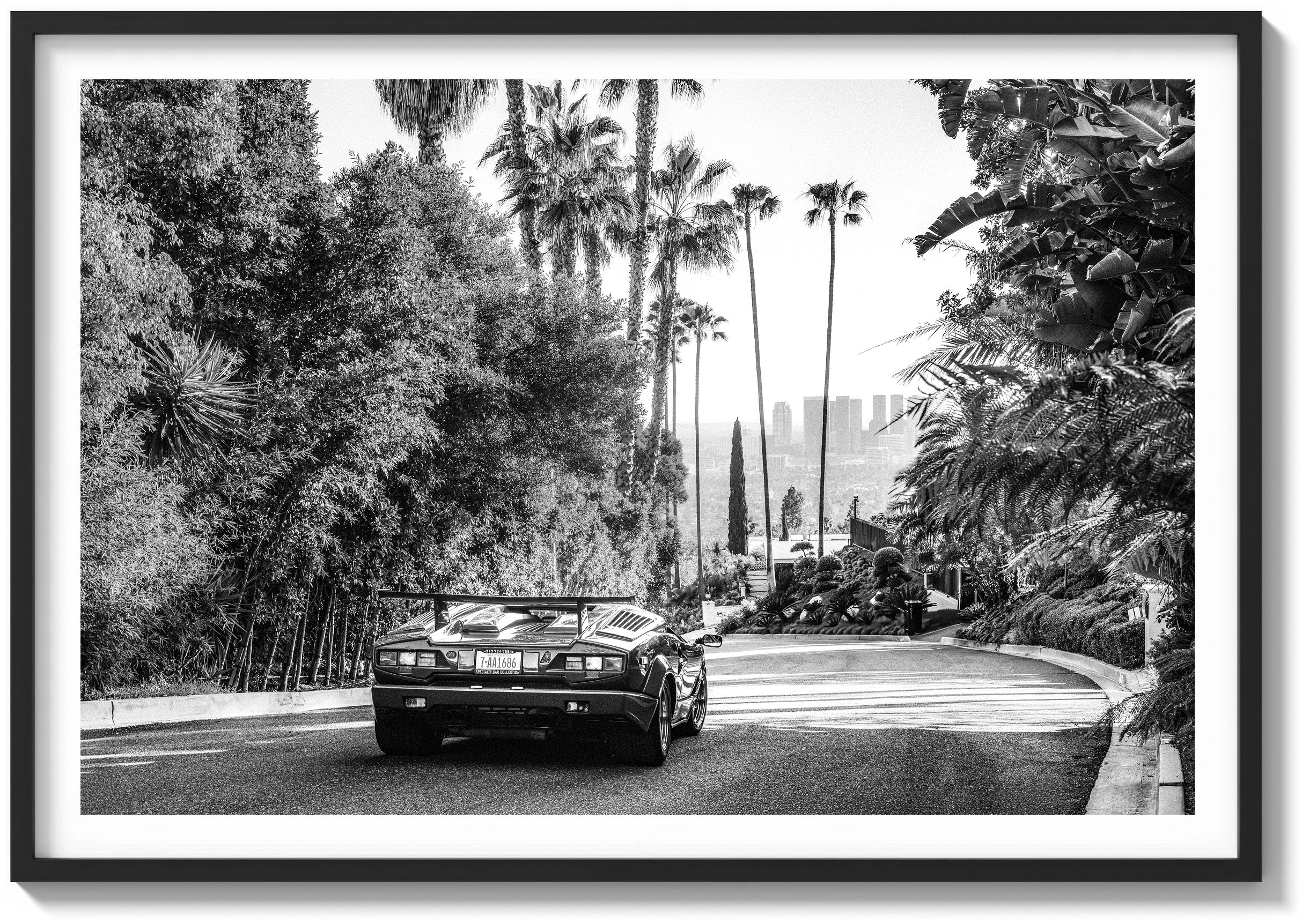 Countach in the Hills