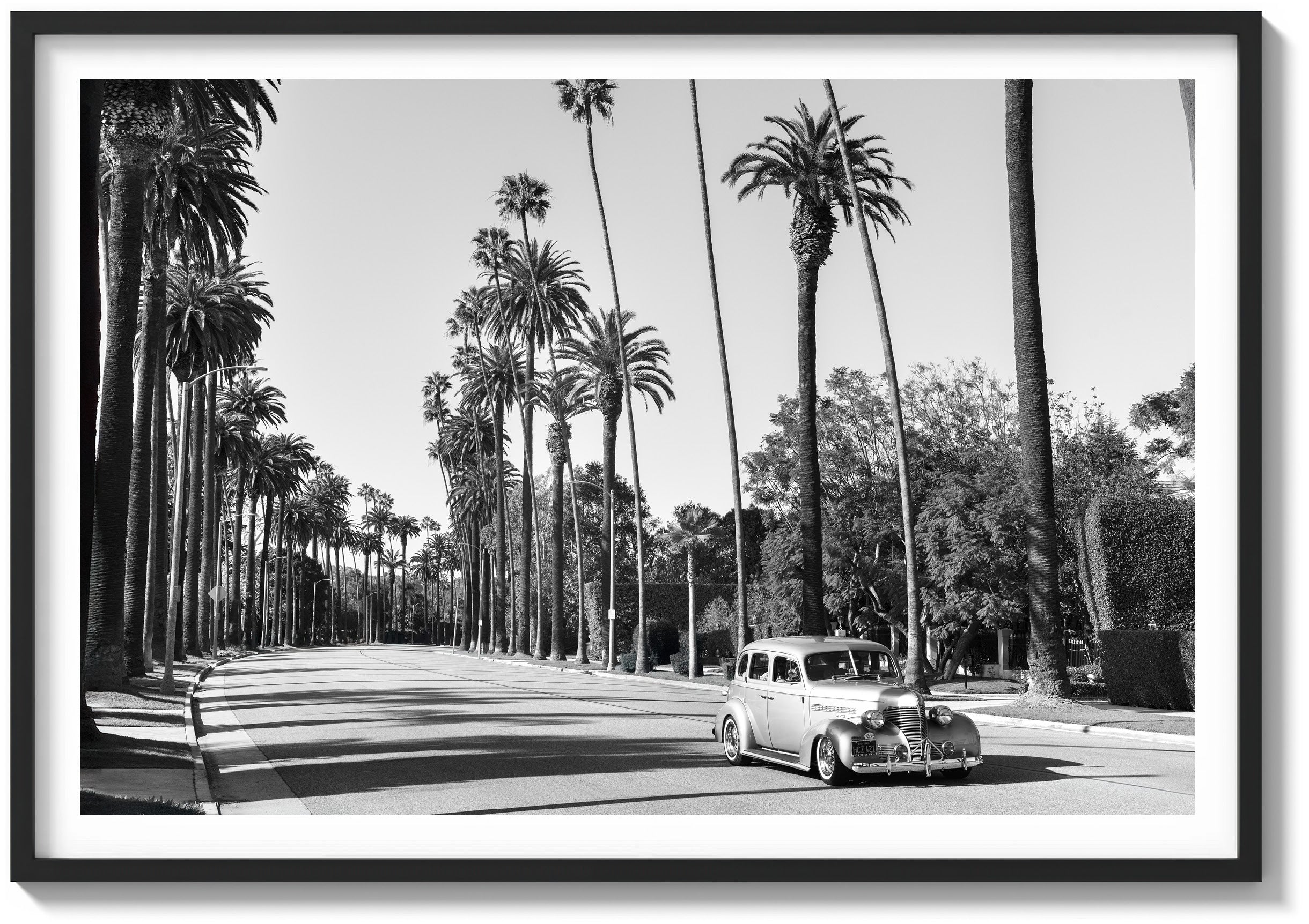 A Quiet Drive in Beverly Hills