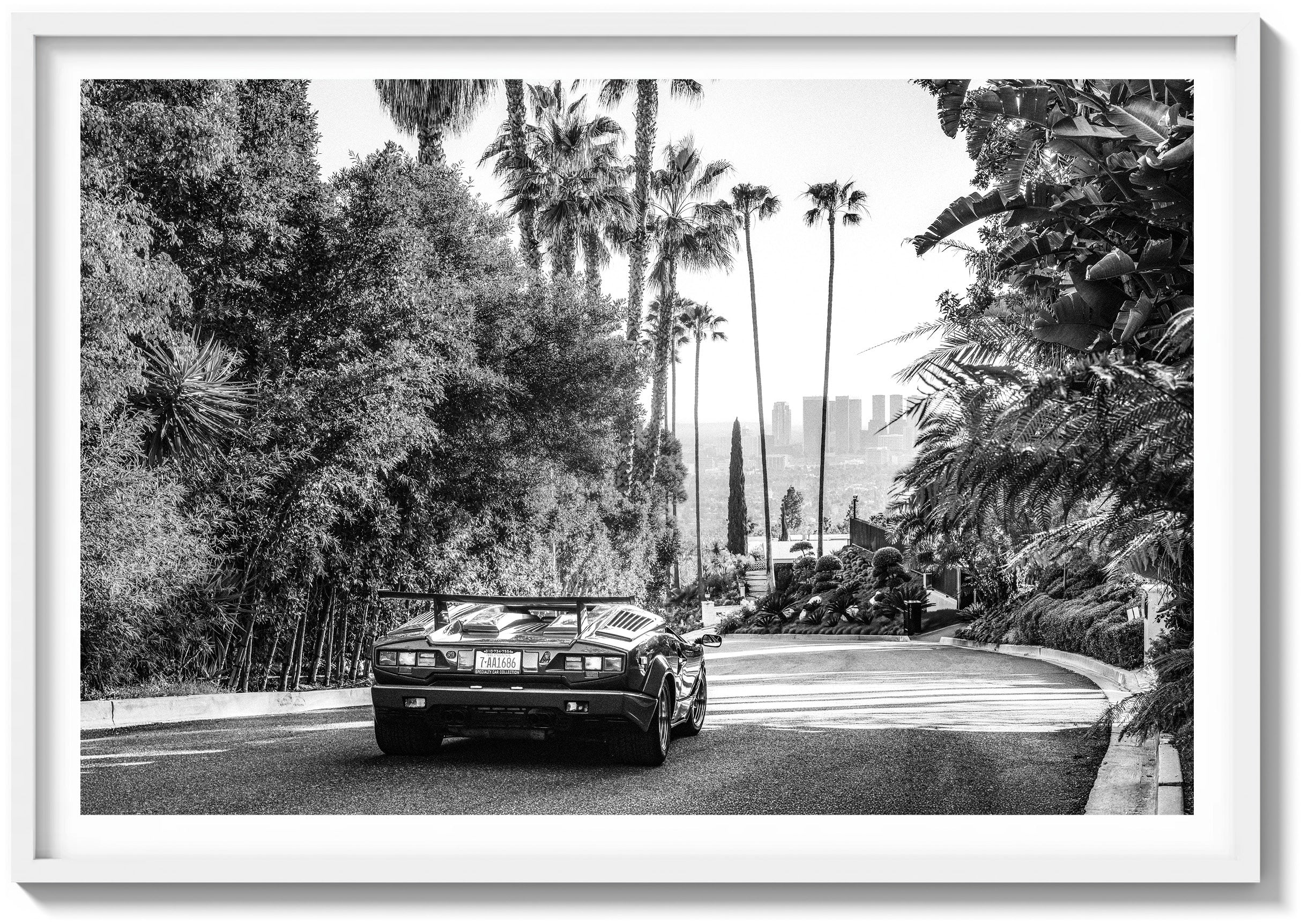 Countach in the Hills