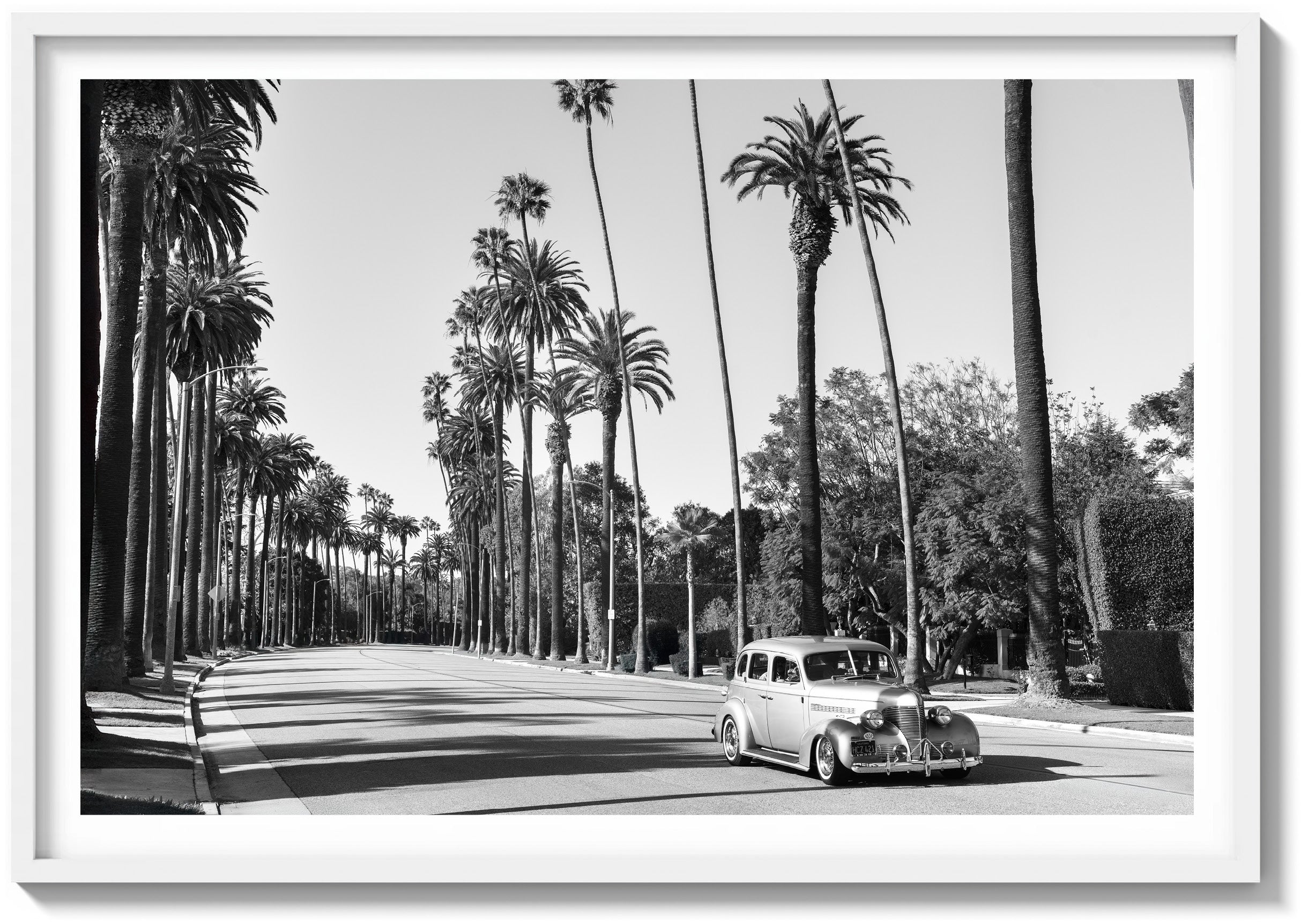 A Quiet Drive in Beverly Hills