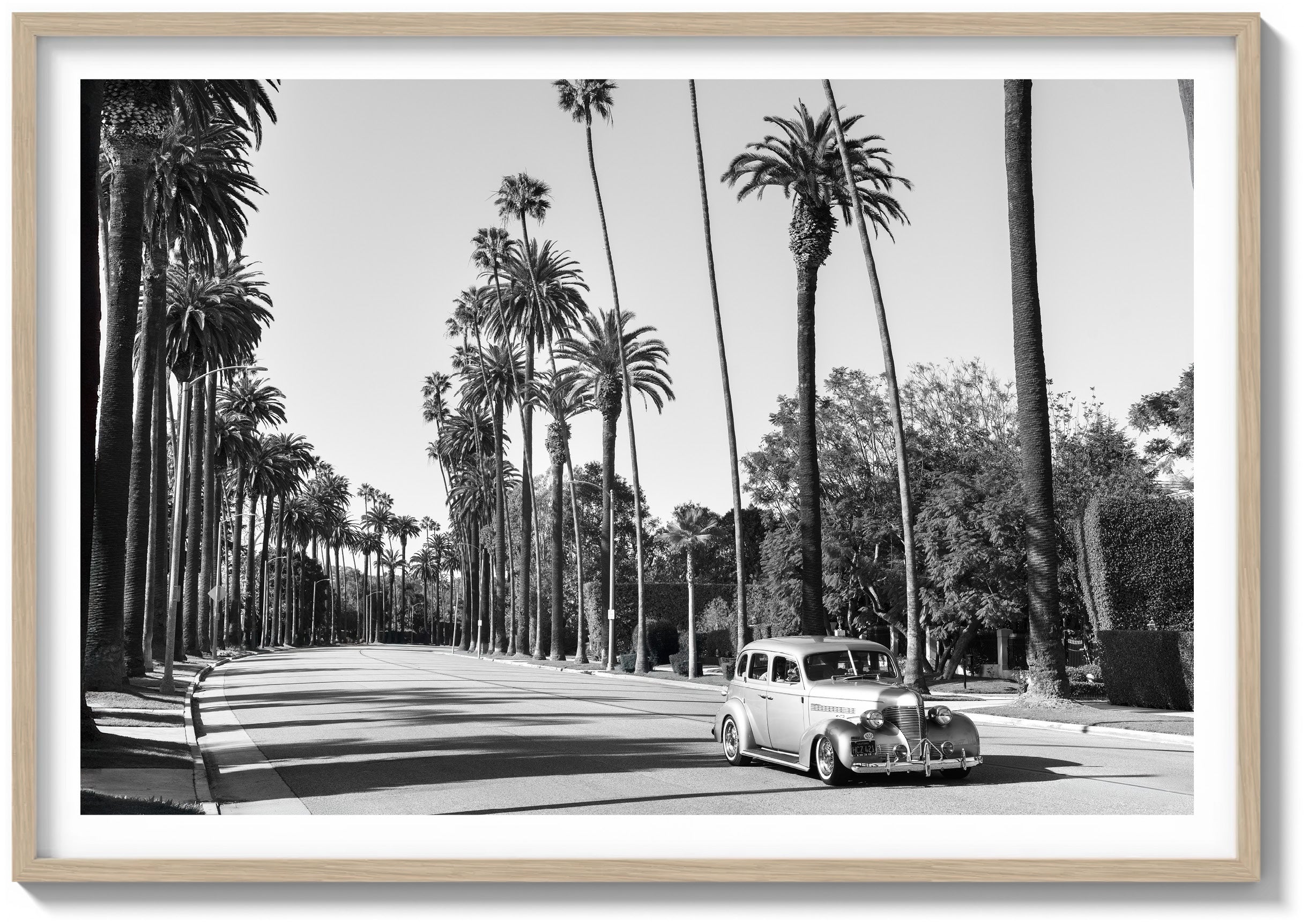 A Quiet Drive in Beverly Hills