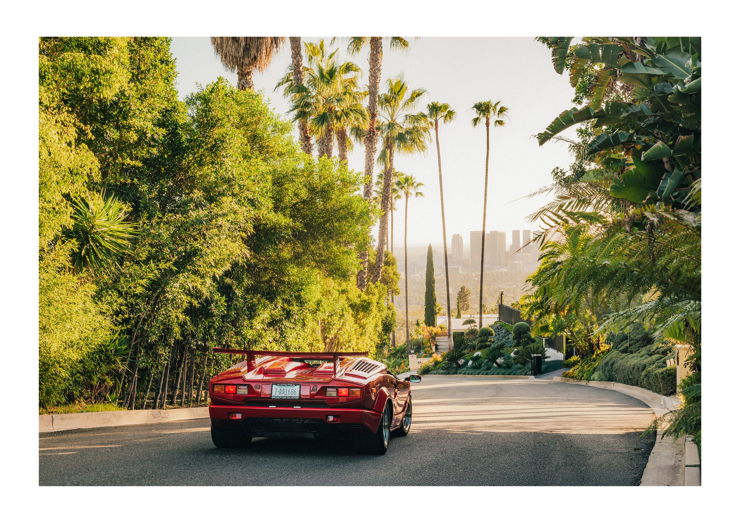 Countach in the Hills